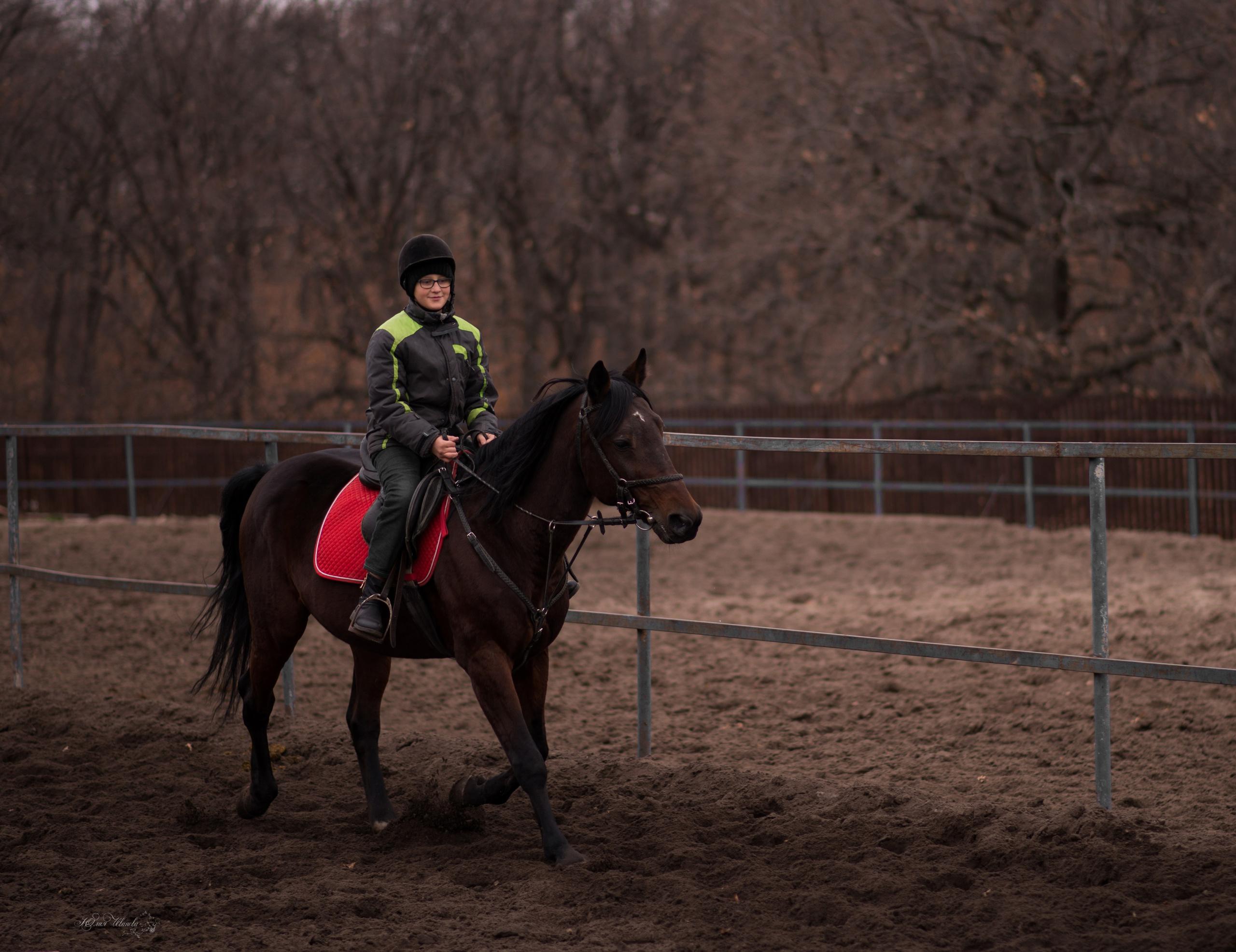 Тренировка с Гайдуком. Конный фотограф в Саратове Юлия Иванова
