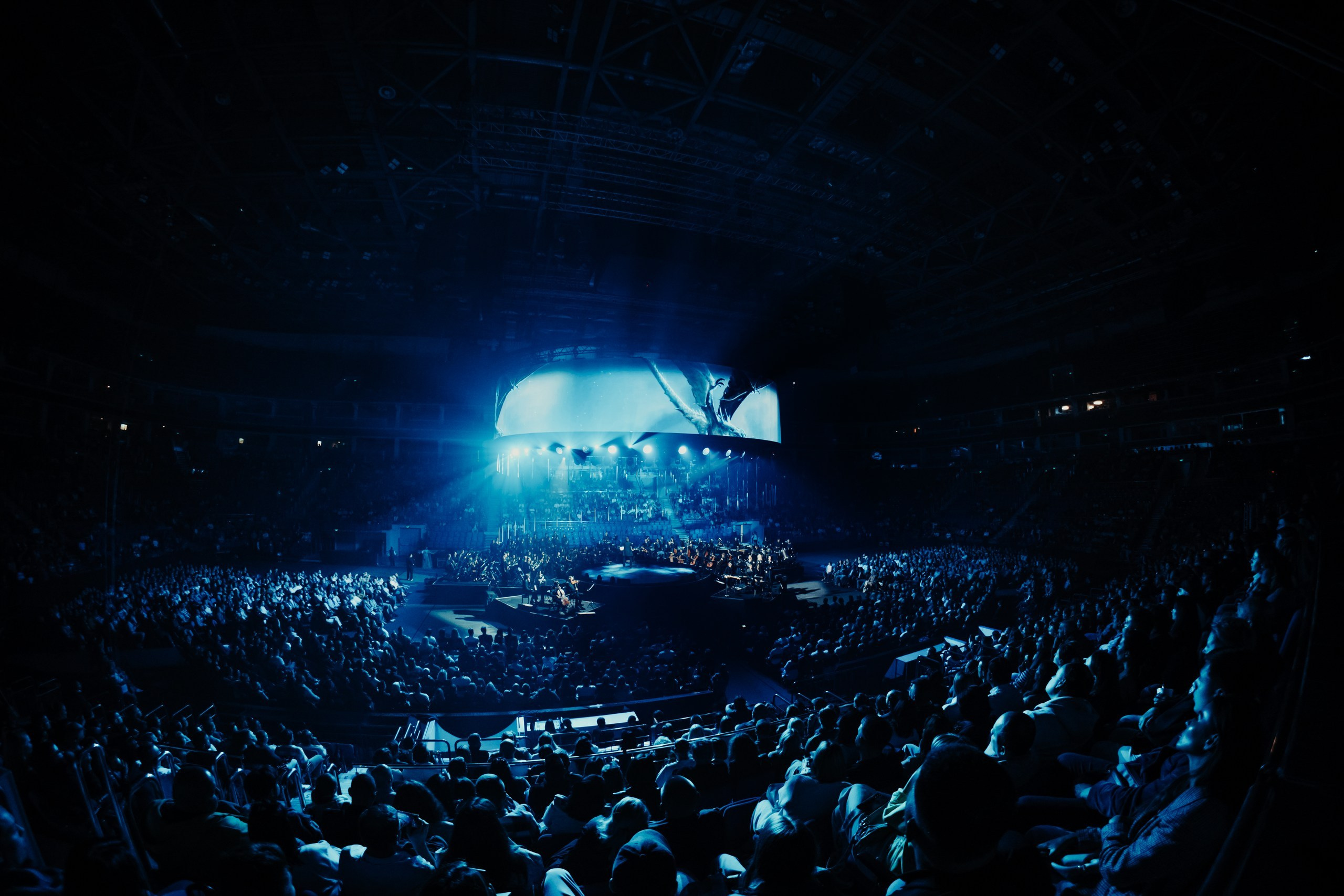 Cinema Medley 3| Imperial orchestra. Концертный фотограф в Санкт-Петербурге