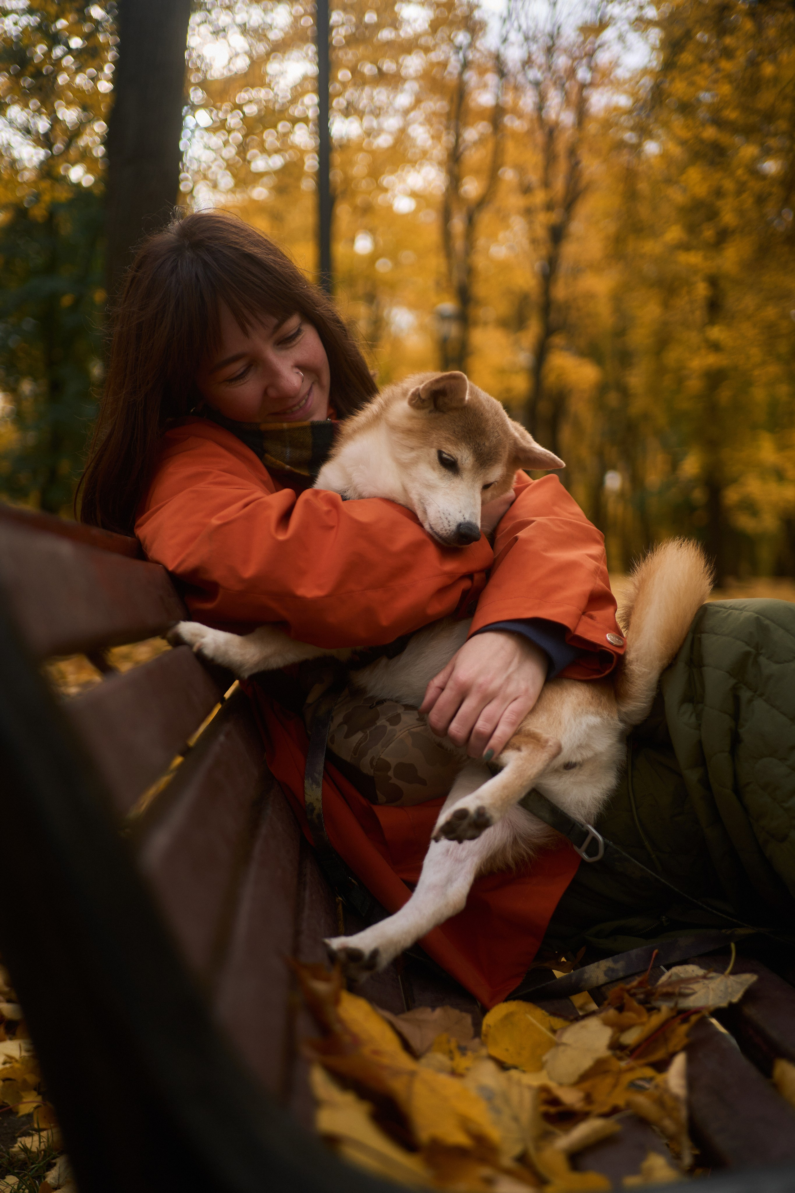 Осенние Уши. Фотограф анималист Москва Дарья