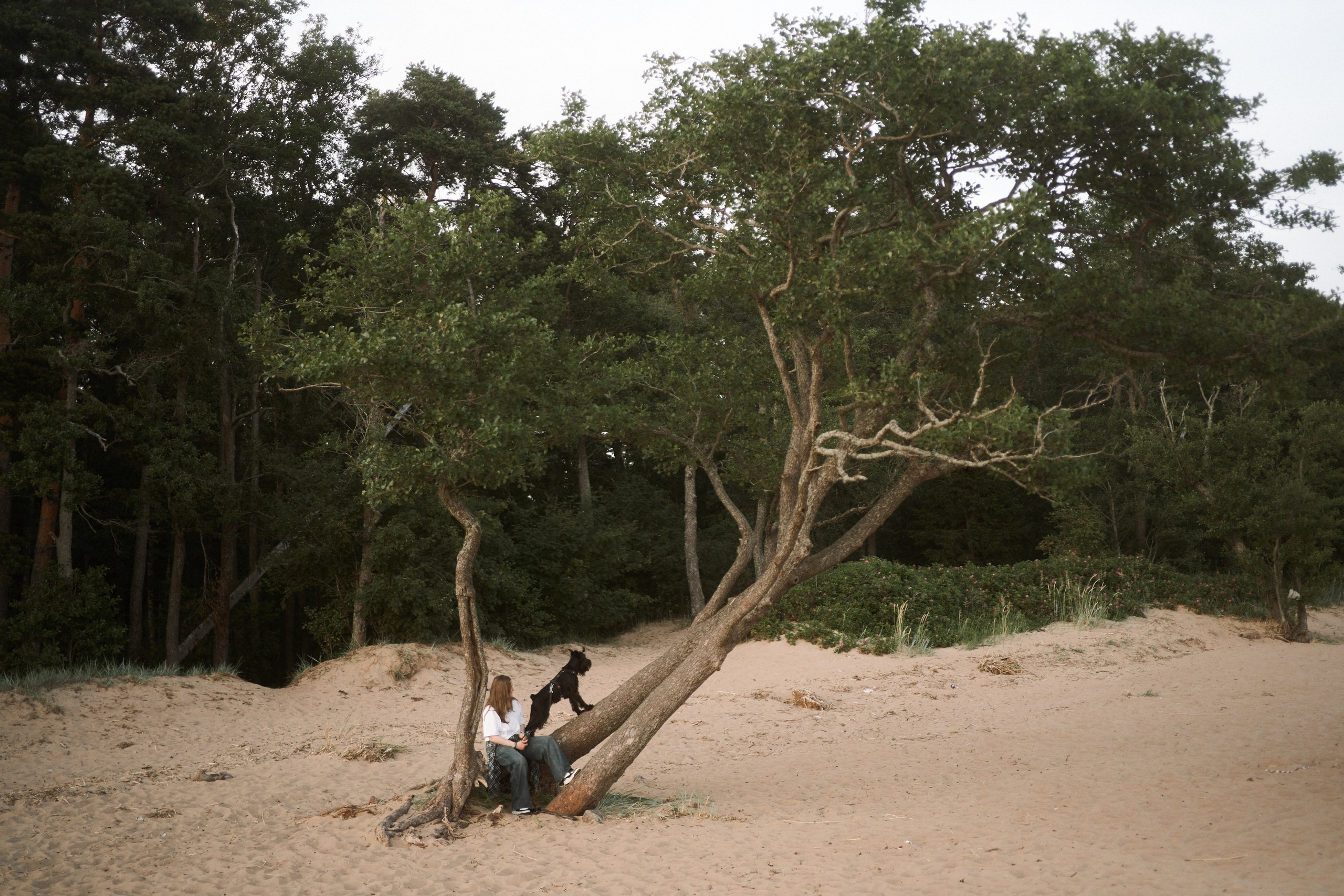 Фотограф анималист Москва Дарья