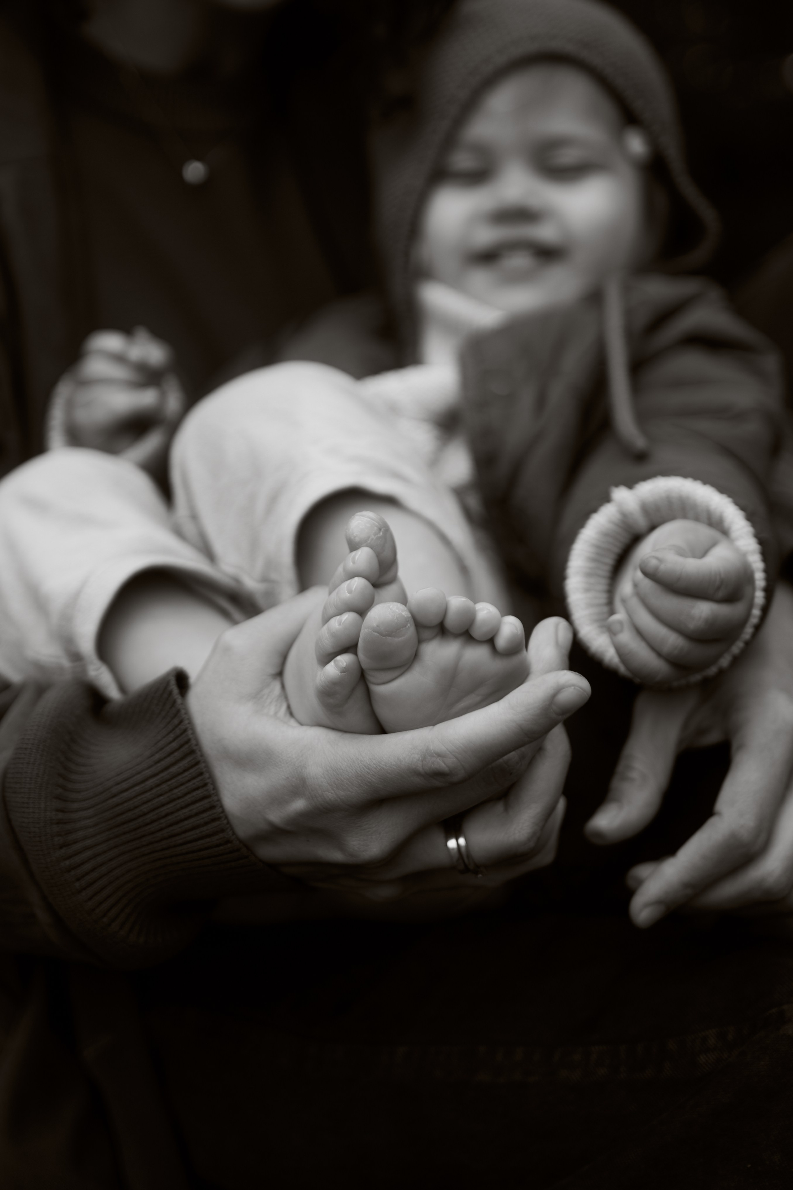 Печенье в песке. Фотограф анималист Москва Дарья