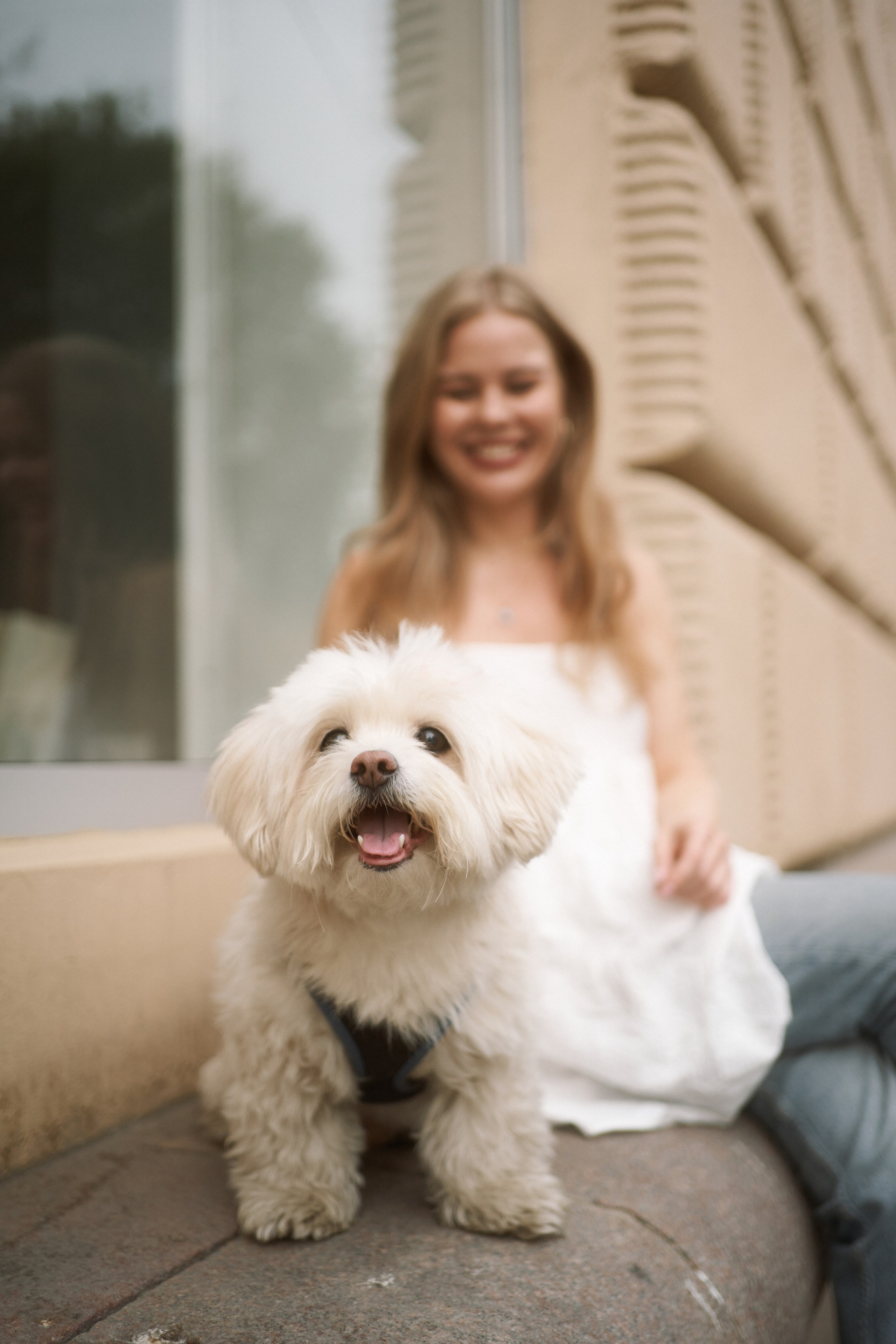 Ира и Антон. Фотограф анималист Москва Дарья