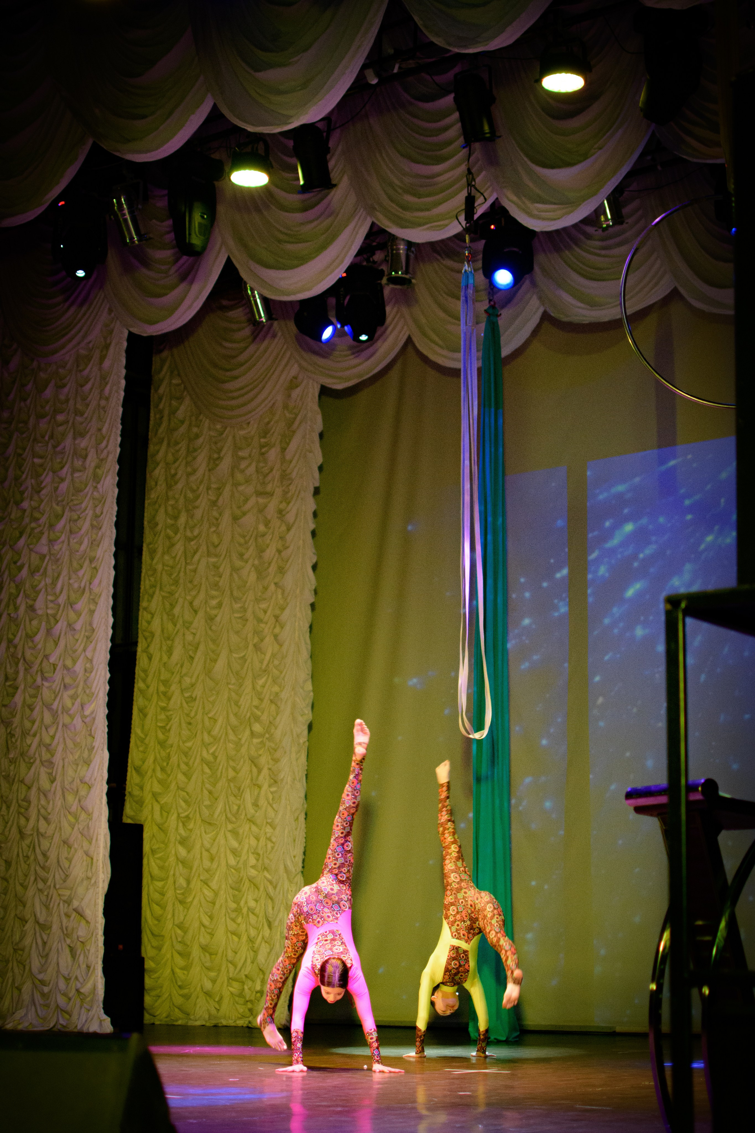 ОБЩЕСТВЕННОЕ ПРИЗНАНИЕ. Photokarish