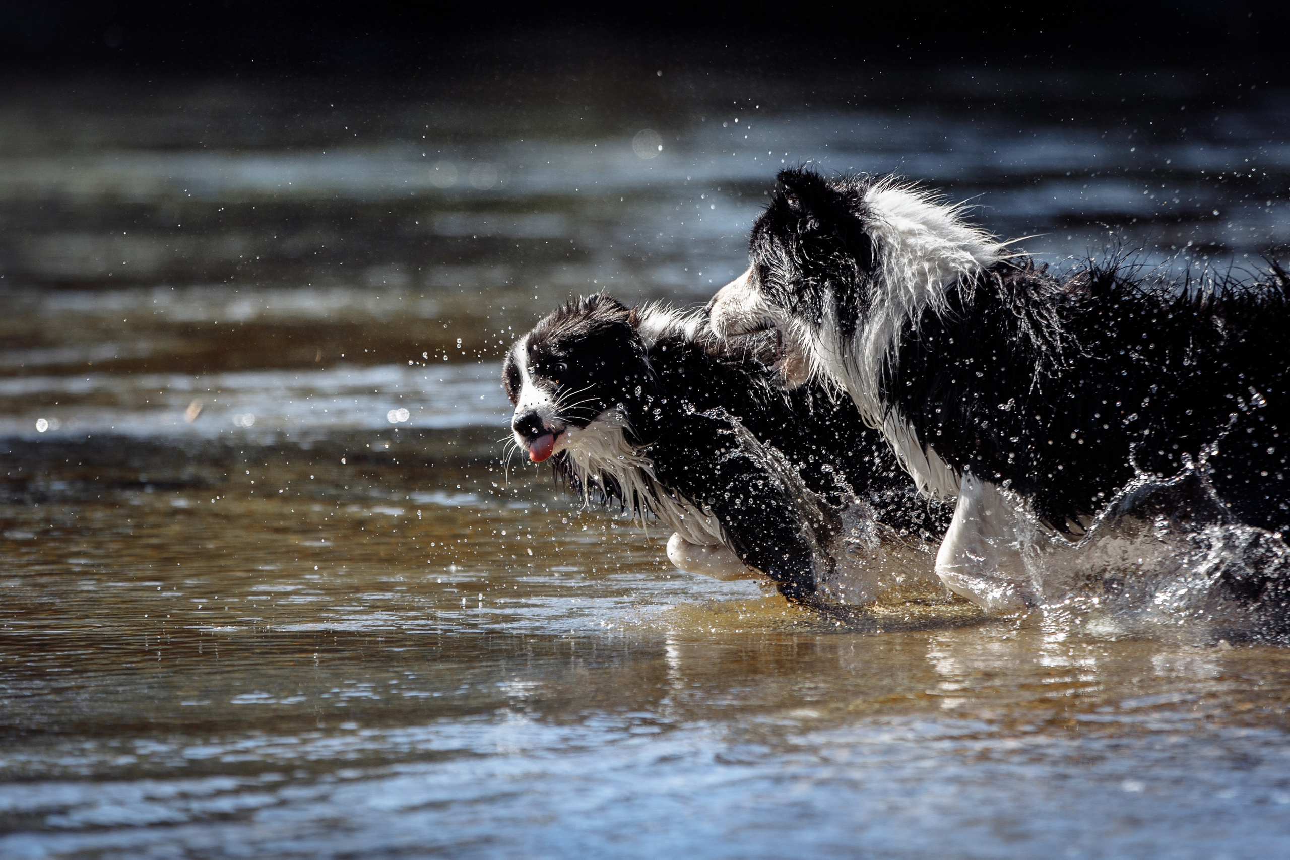 Водяные в Новотроицке. О нас