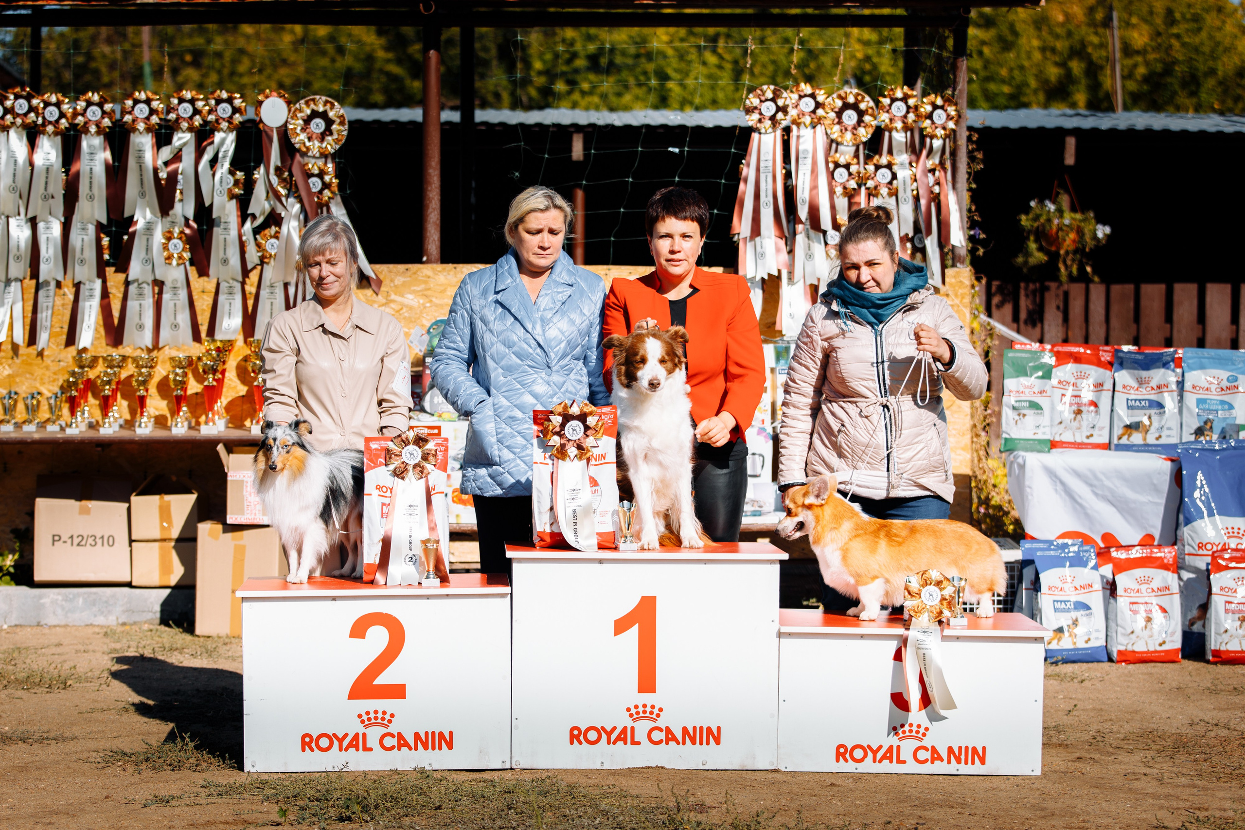 Водяные в Новотроицке. О нас