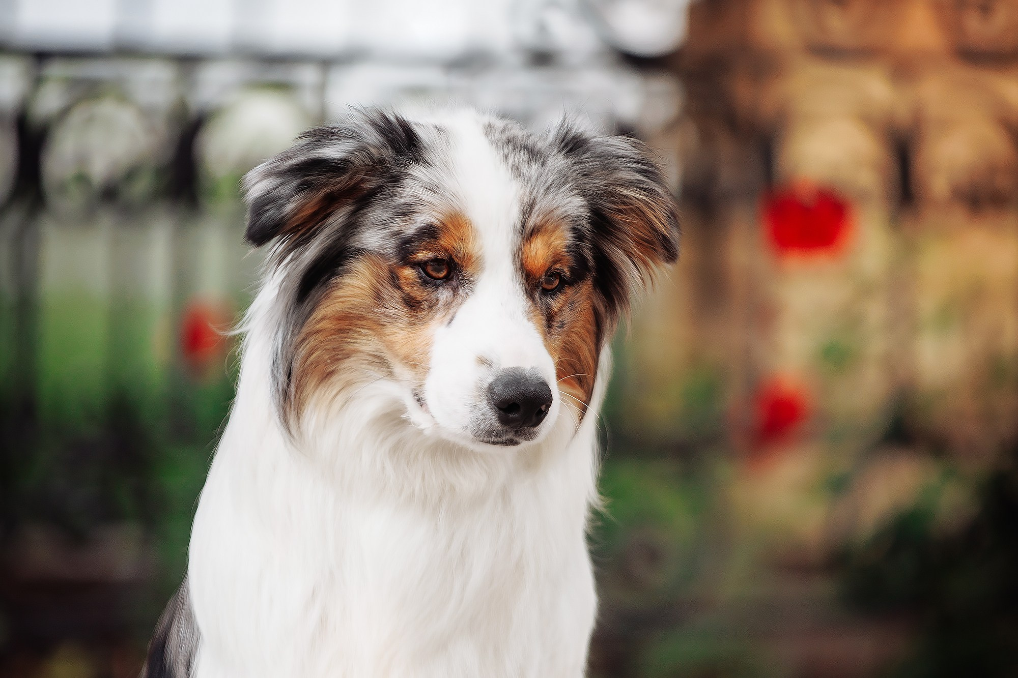 Краски 23. О нас