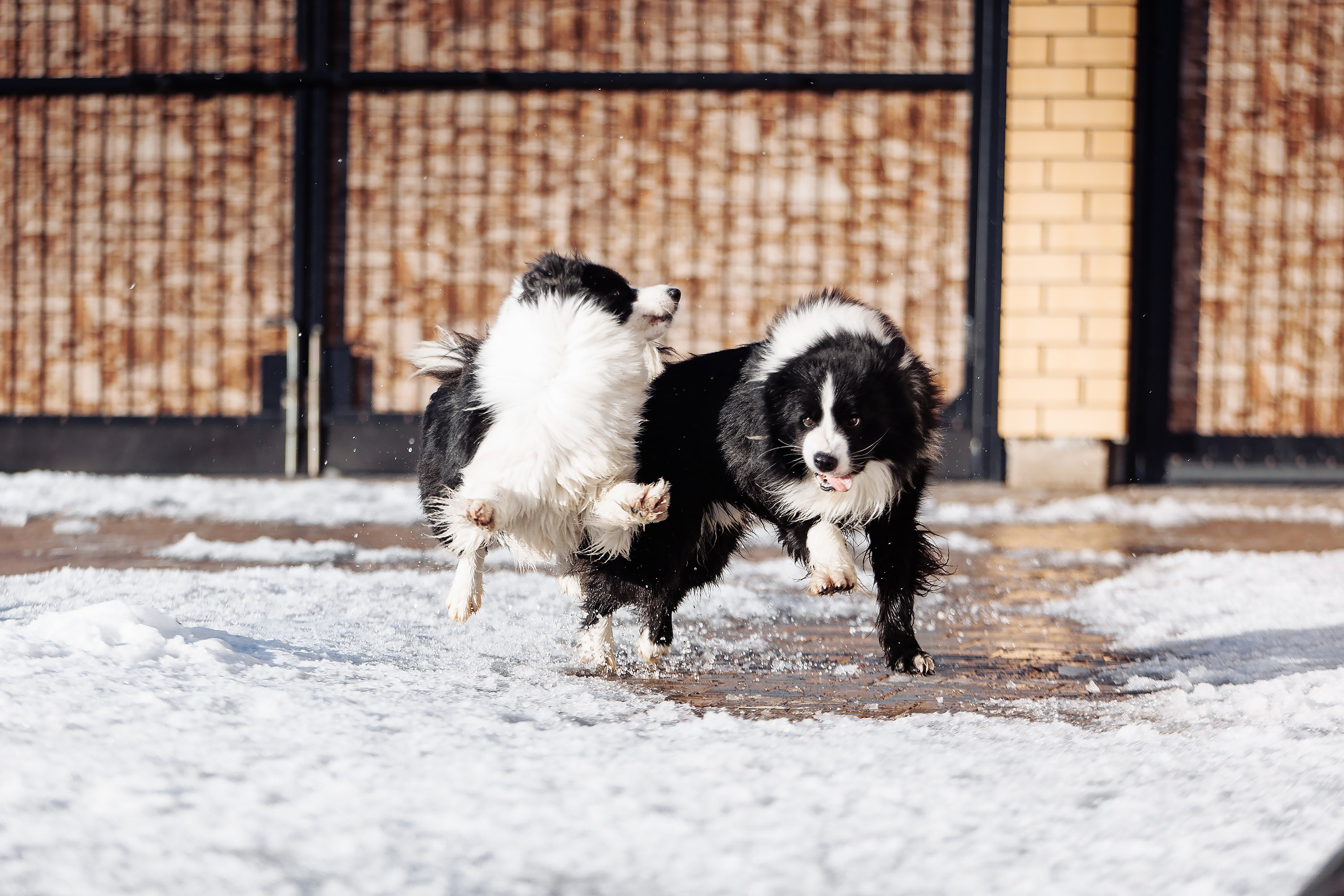 Пока таяло. О нас