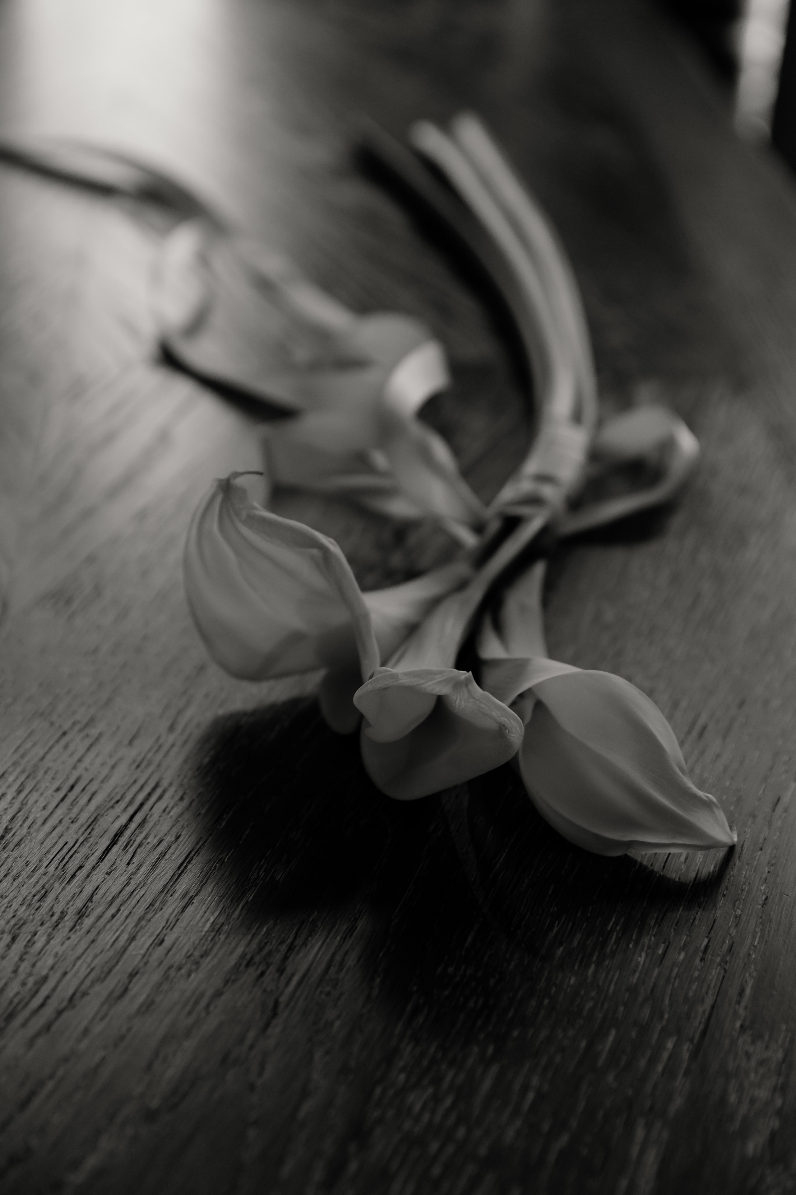 Тимофей и Анастасия. Свадебный фотограф в Екатеринбурге Александр Перепечин