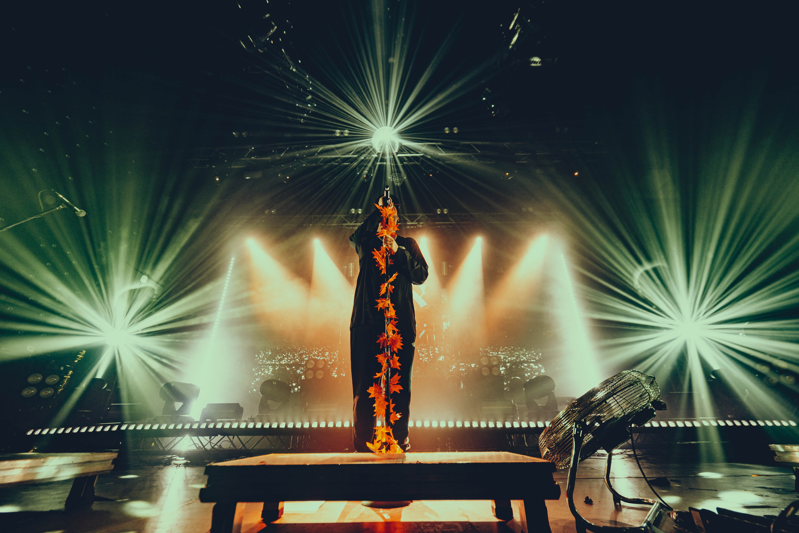 Stigmata 15.11.2025. Фотограф Дядя Сник