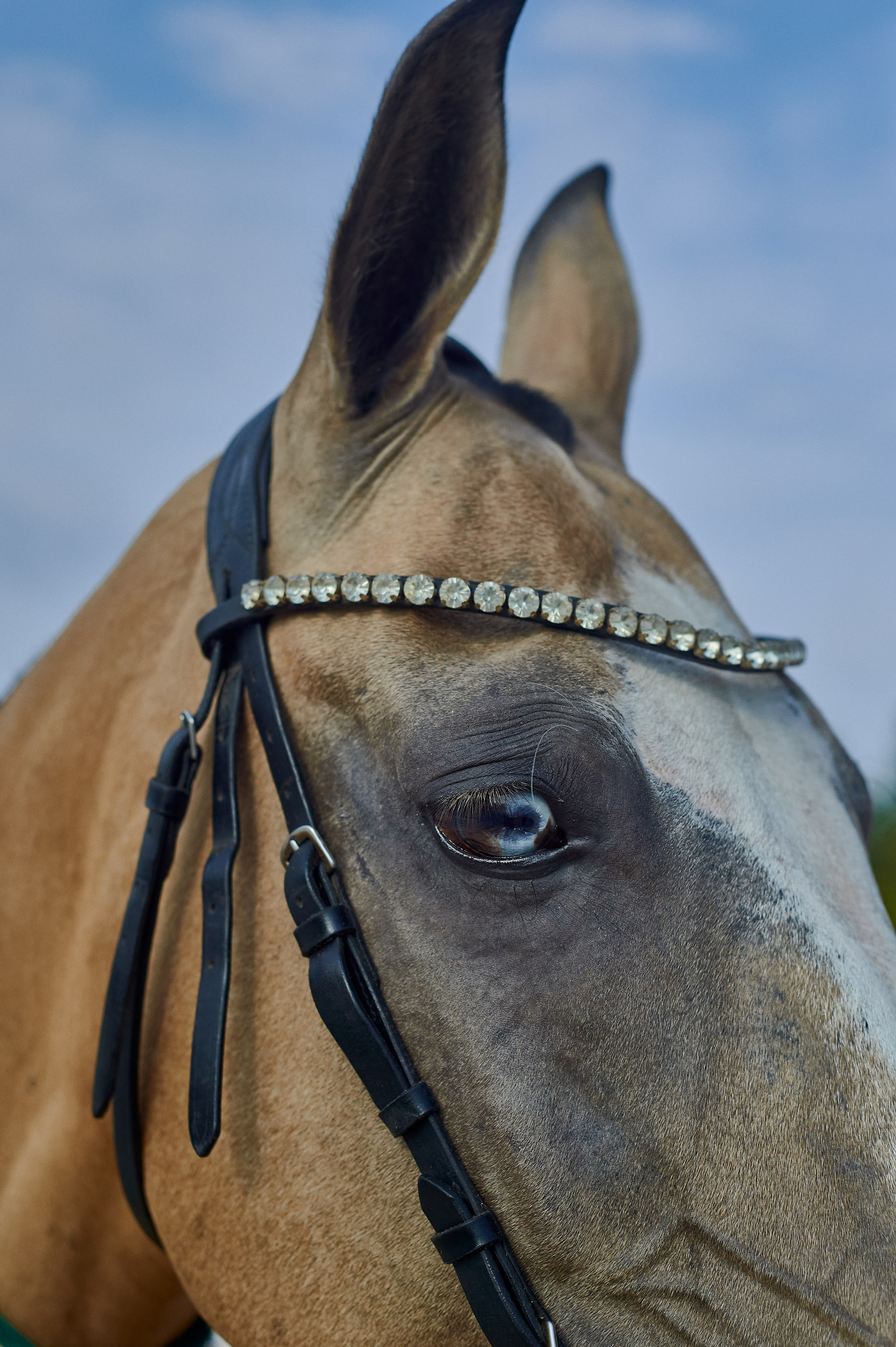 Диана. Фотограф, психолог в Москве, Жуковском, Раменском Галина Майлер