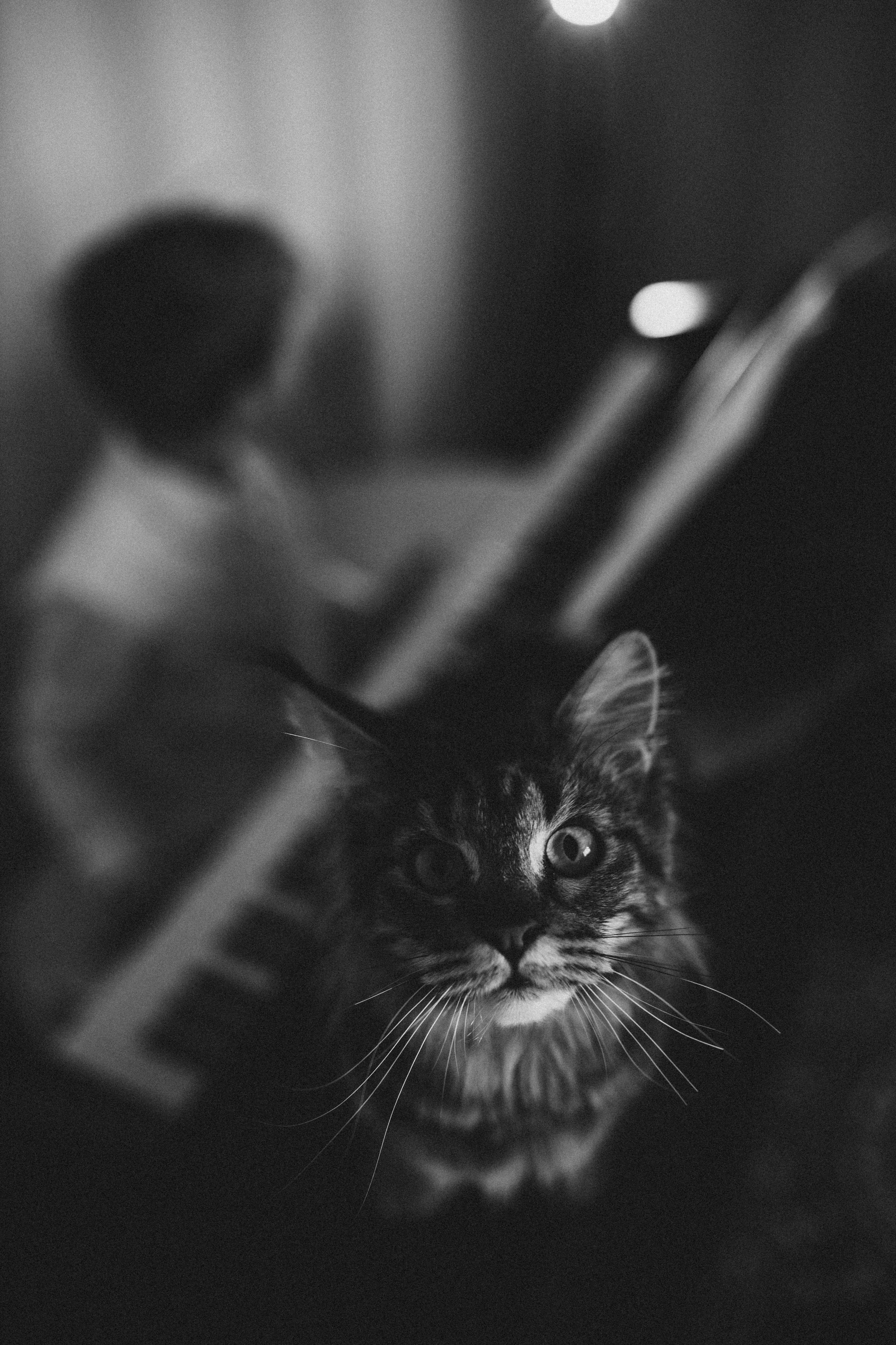 Преподаватель музыки