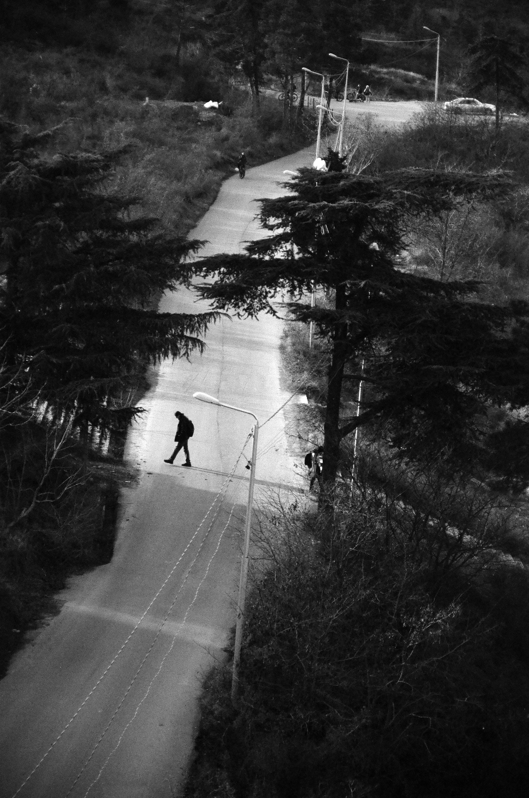 ON THE GO. Сocoobird || Атмосфера твоего бренда в снимках и видео