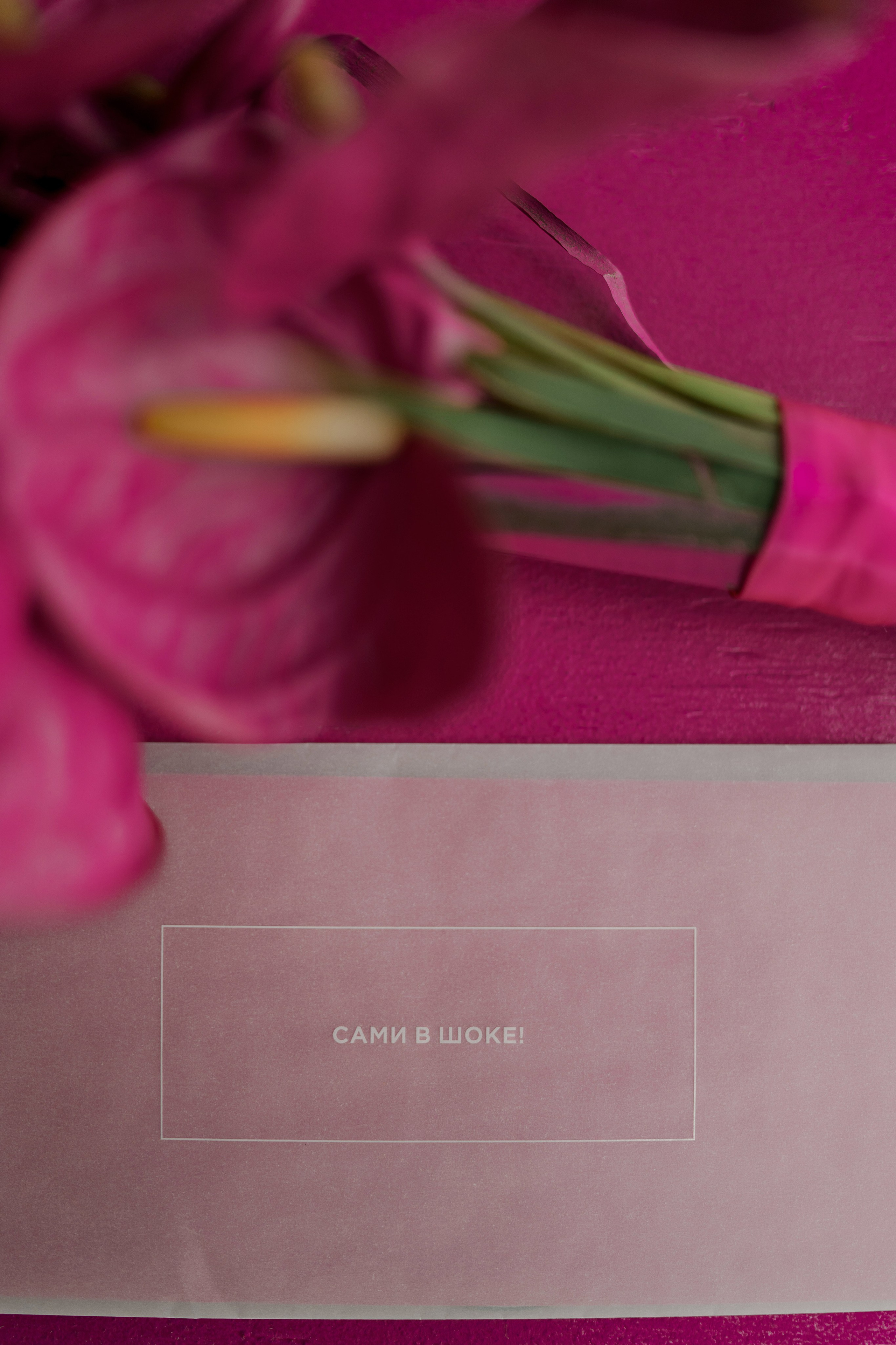 МЕЖДУ НАМИ. Свадебный фотограф Марина Бобкова в Липецке, Воронеже, Москва