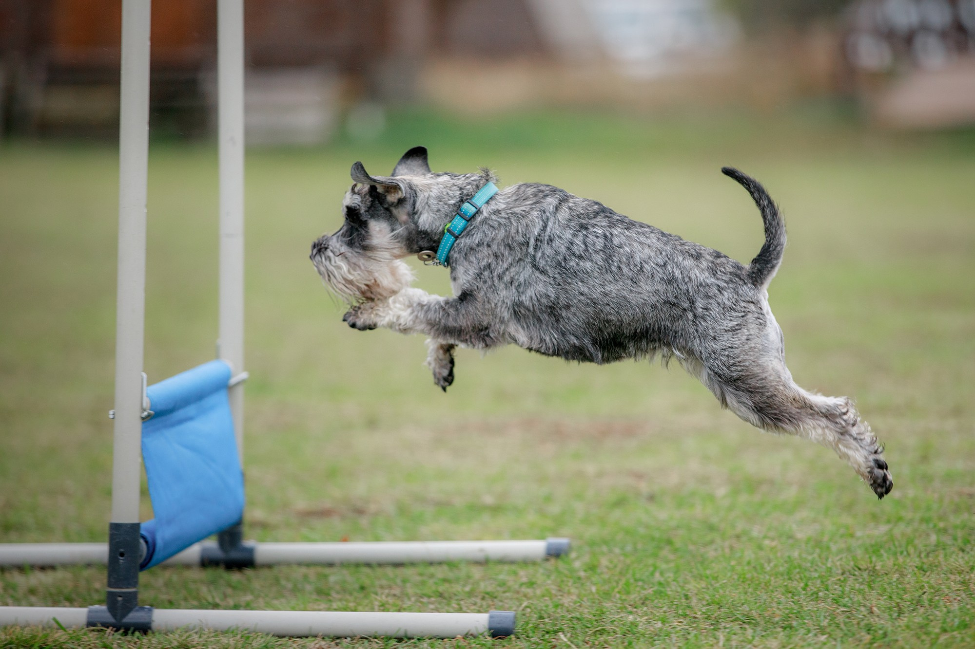 Лагерь по ОБД с Инной Баженовой. Фотограф-анималист Mary Mart — Москва, Питер