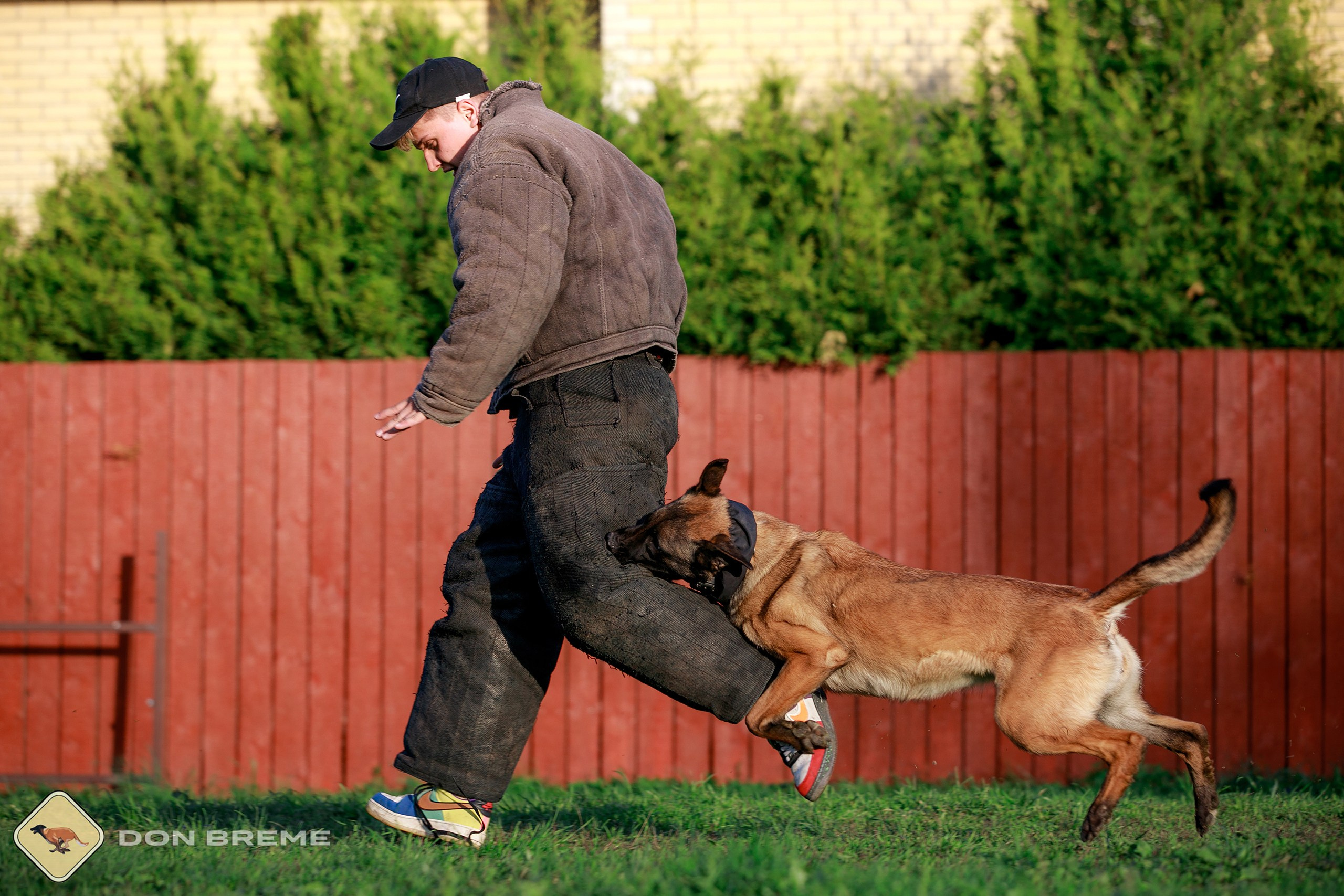 Семинар для фигурантов, день 4. Фотограф-анималист Mary Mart — Москва, Питер