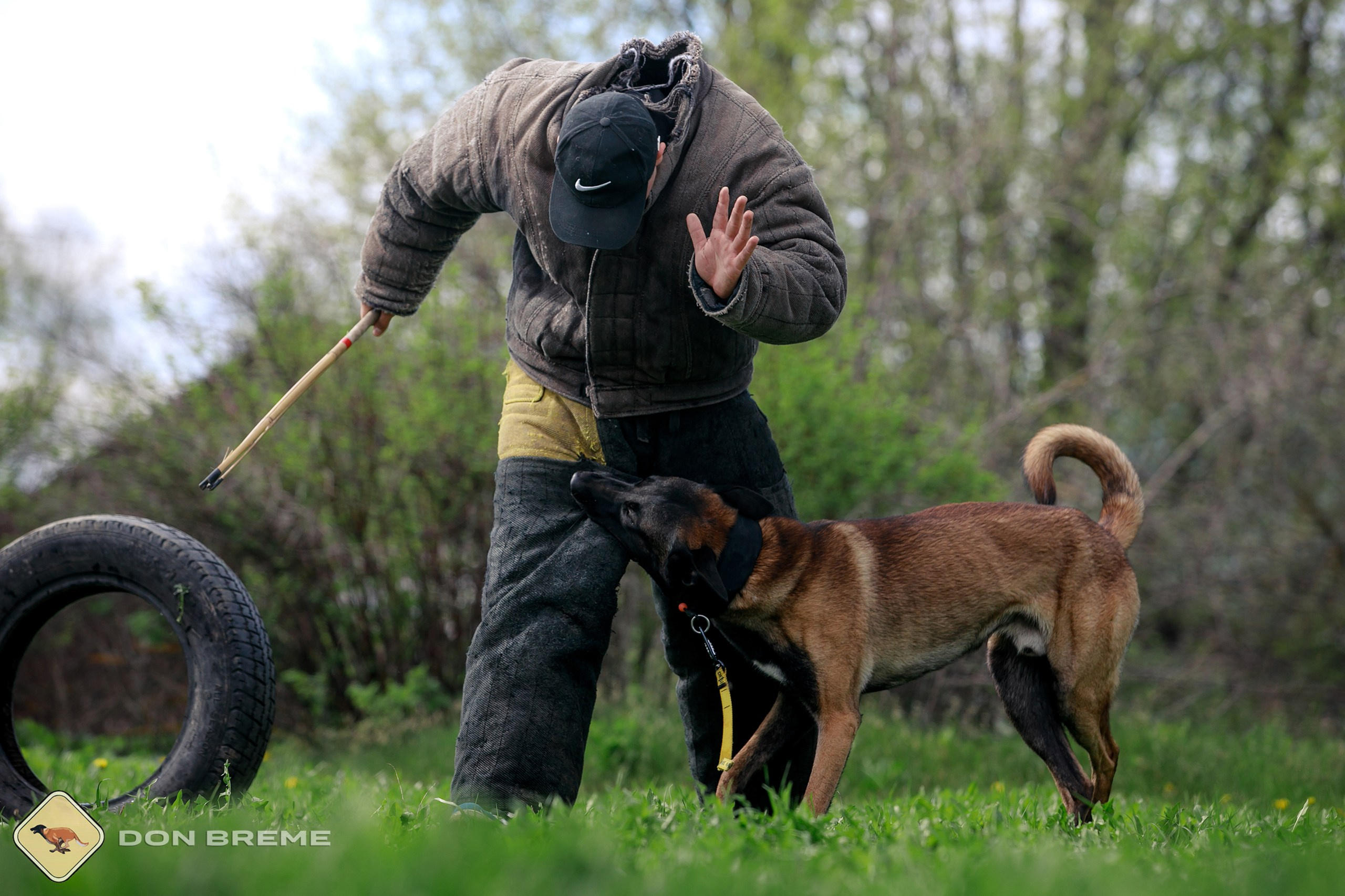 Семинар для фигурантов, день 2. Фотограф-анималист Mary Mart — Москва, Питер