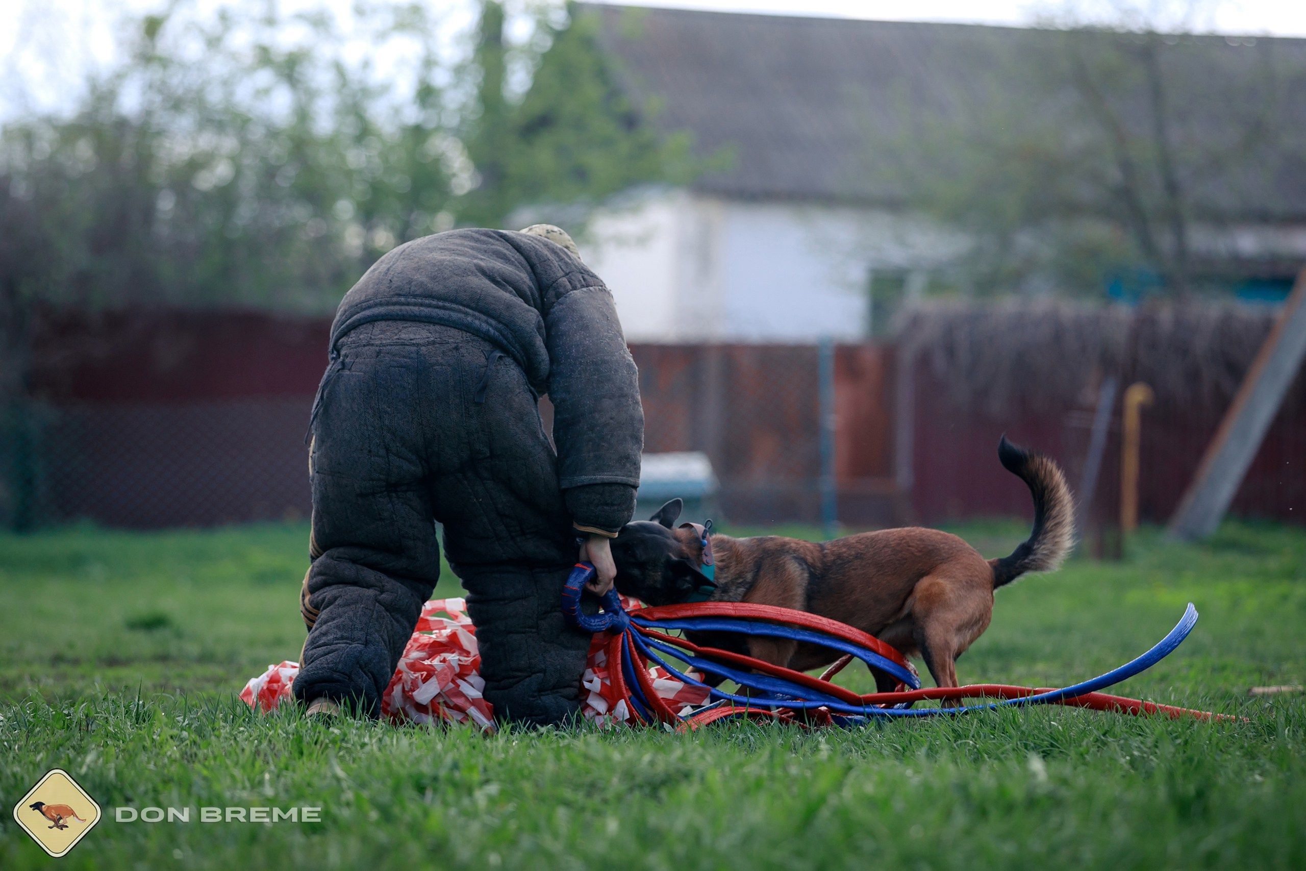 Семинар для фигурантов, день 2. Фотограф-анималист Mary Mart — Москва, Питер