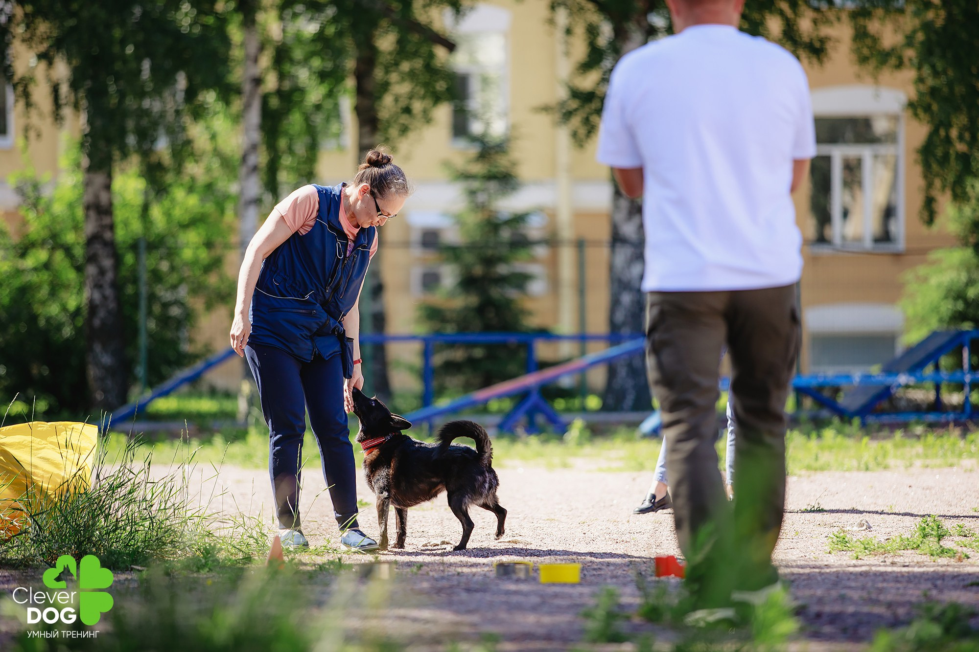 Семинар по поиску запаха с Иваном Ломовым, организатор CleverDog, СПб. Фотограф-анималист Mary Mart — Москва, Питер