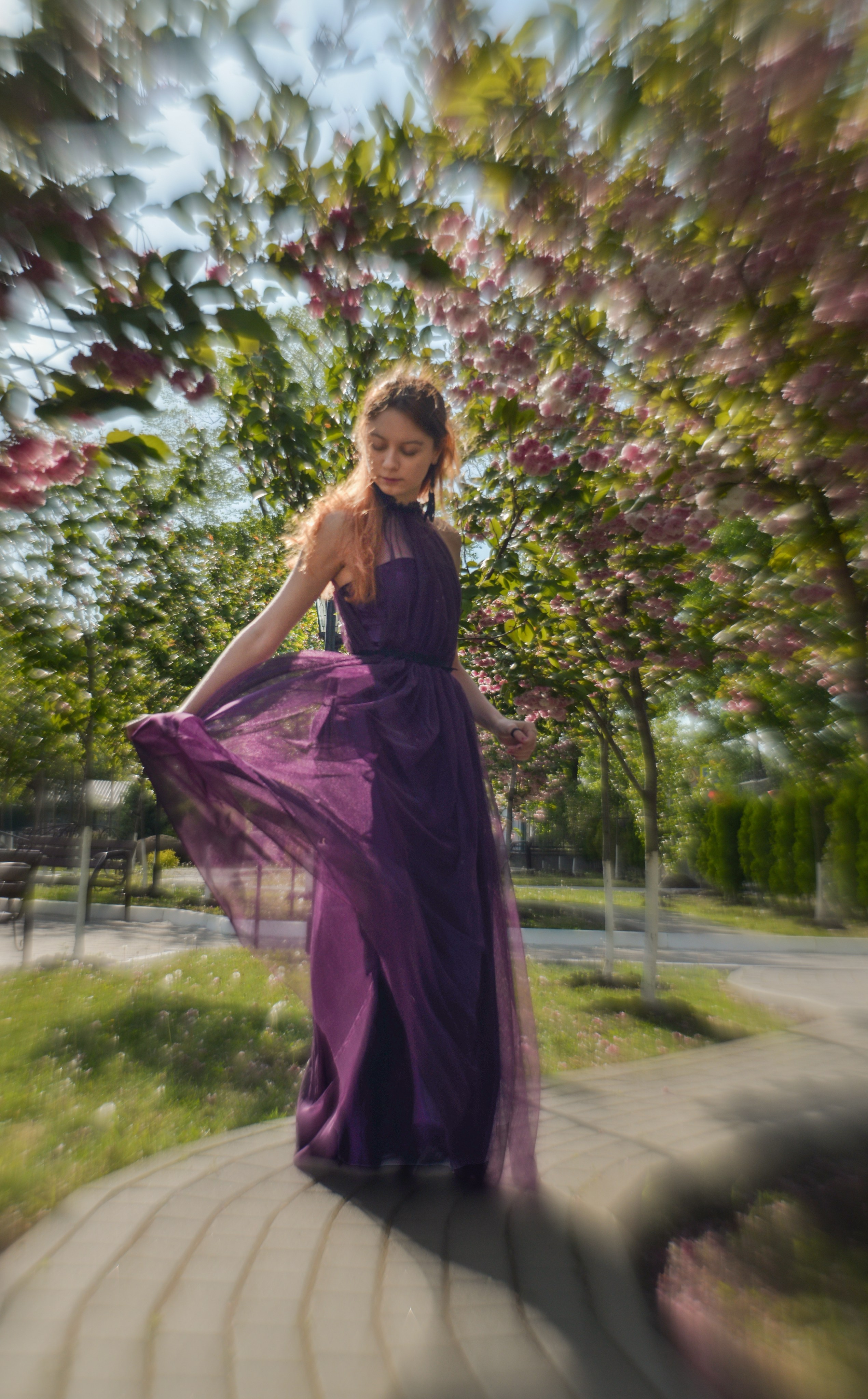 Сакура. Фотограф Майкоп Митрова Рената