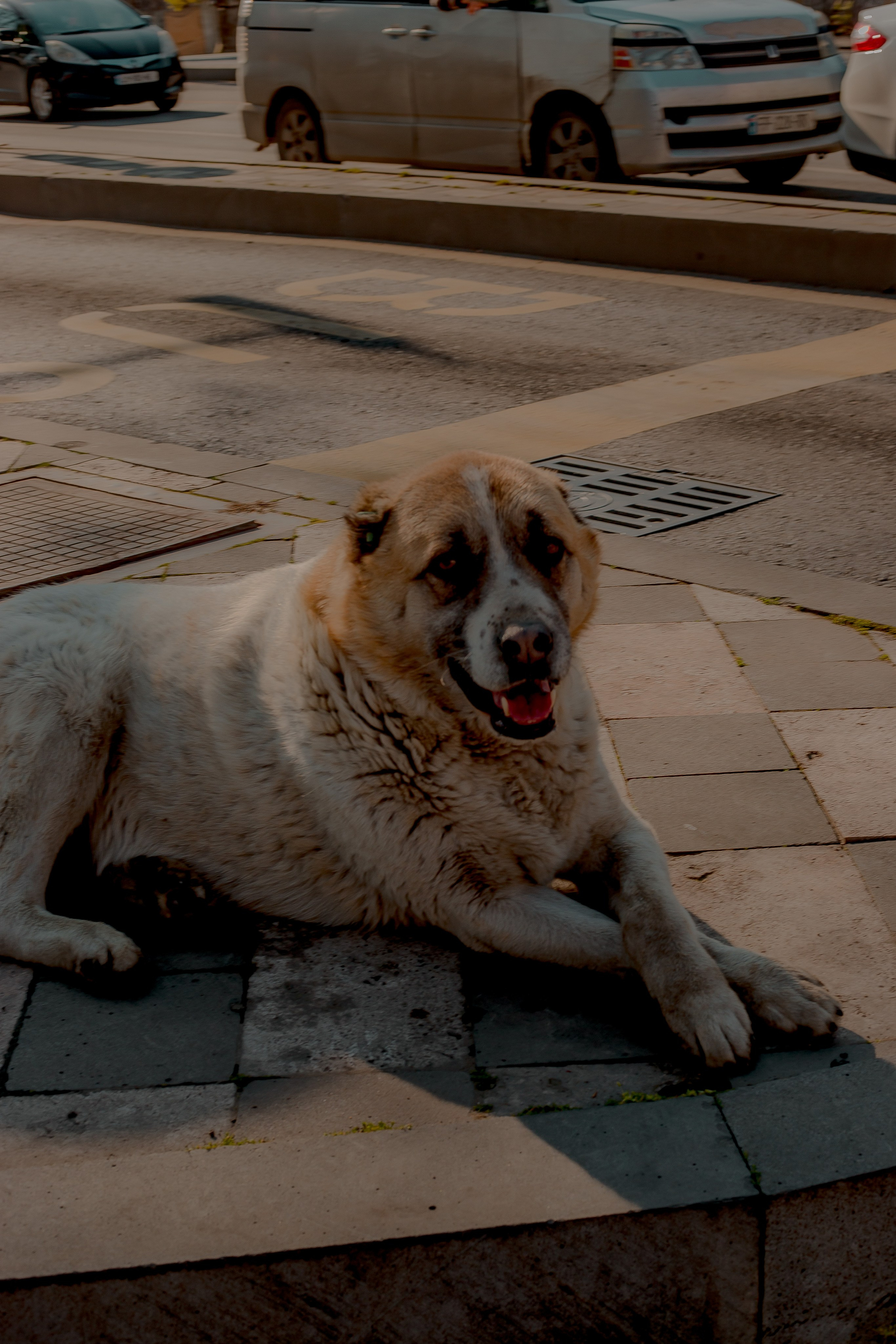 Georgia, Tbilisi 2024. Art Photographer