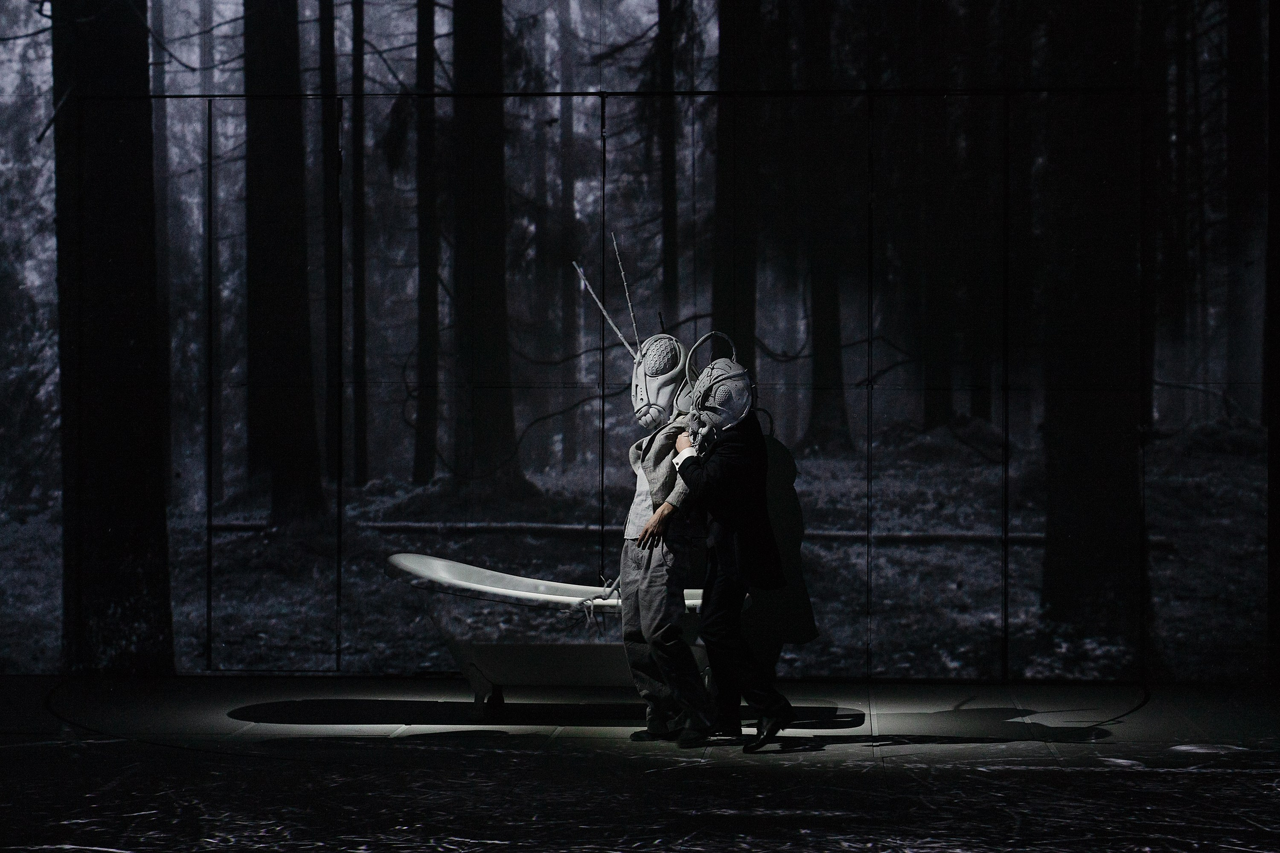 «СВЕРЧОК». Фотограф Александра Дмитриевская