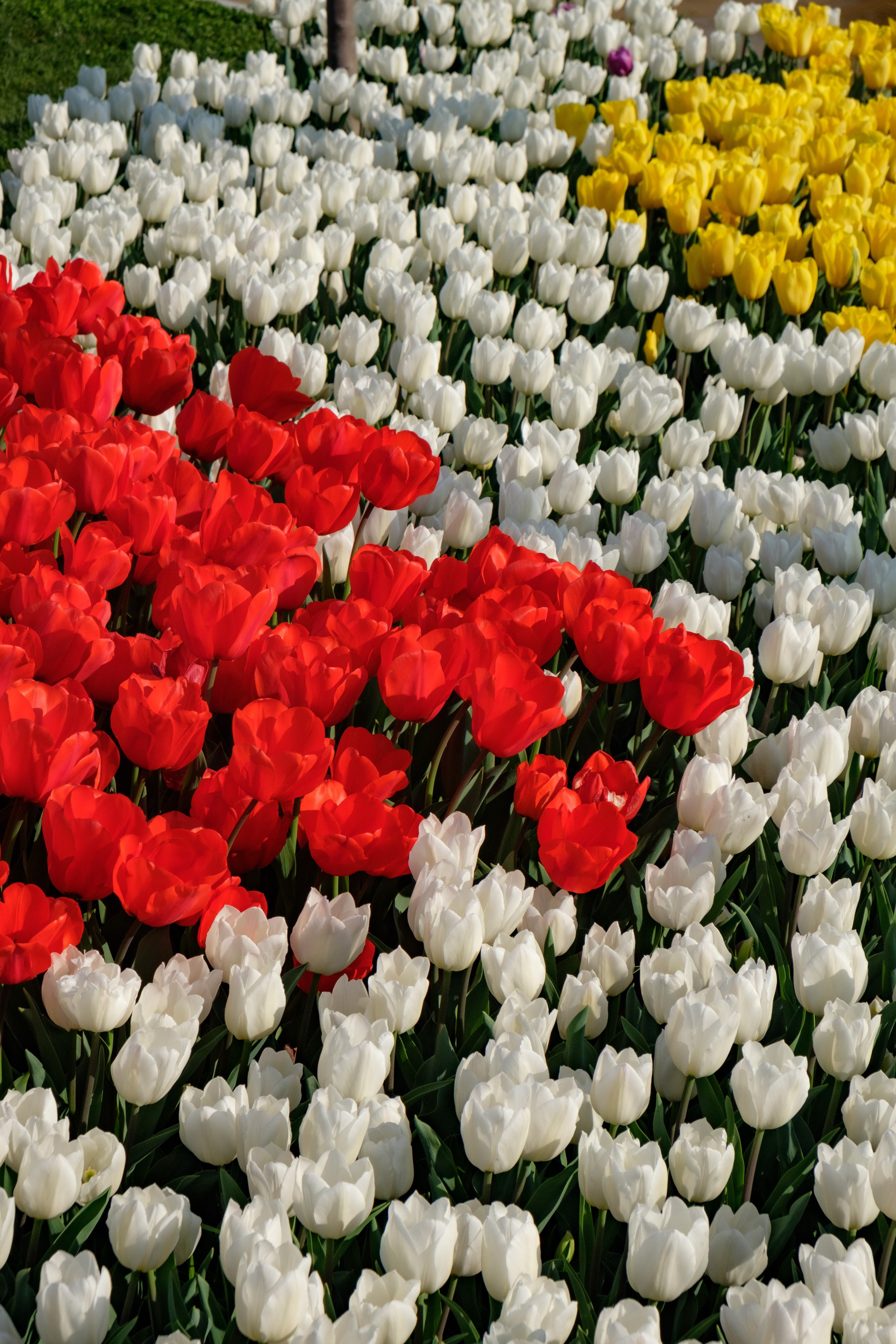 Узбекистан. Города. Фотограф Конопихин Константин