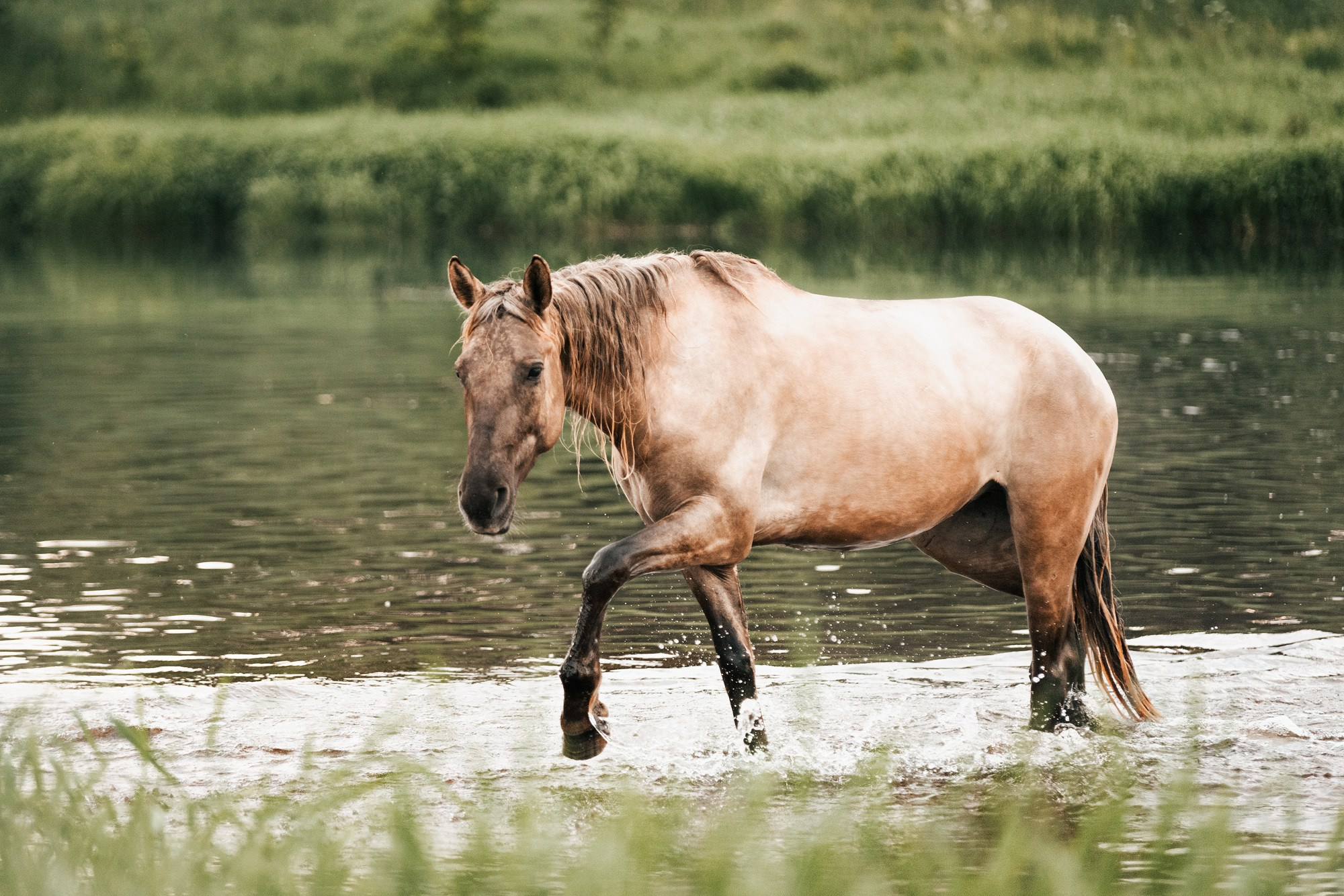 МК Анастасии Ветковской на ранчо Аванпост. Конный фотограф Куракина Дарья • Фотосессии с лошадьми