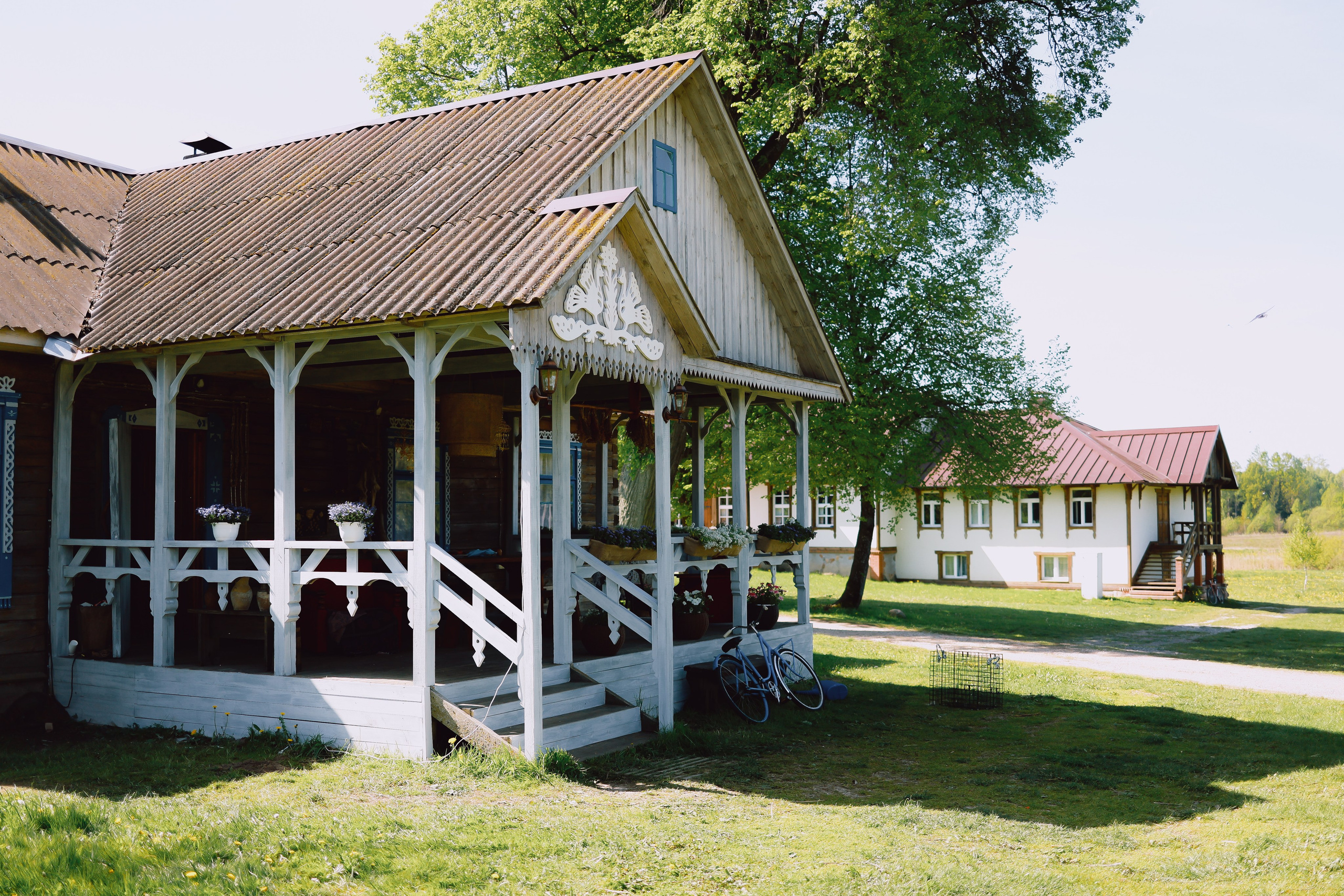 Белые Луга. Детский и семейный фотограф Малых Ольга г. Салехард
