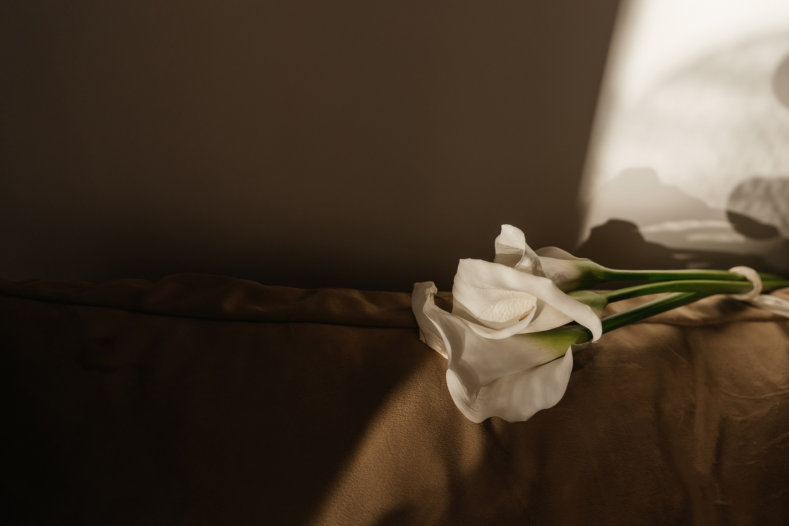 Two. Свадебный фотограф в Ростове-на-Дону