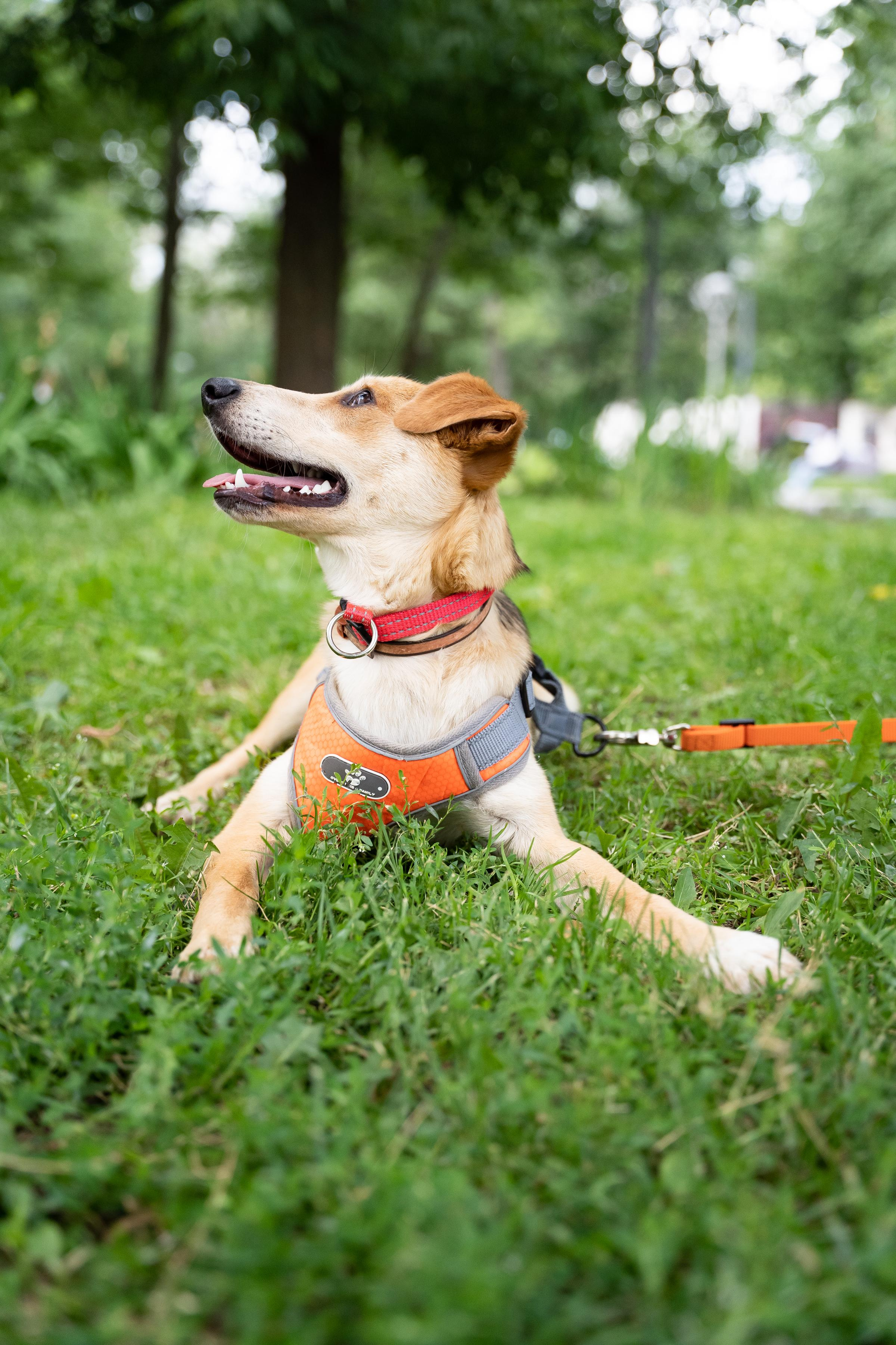 Репортажная съёмка. Фотограф Юлия Восходова