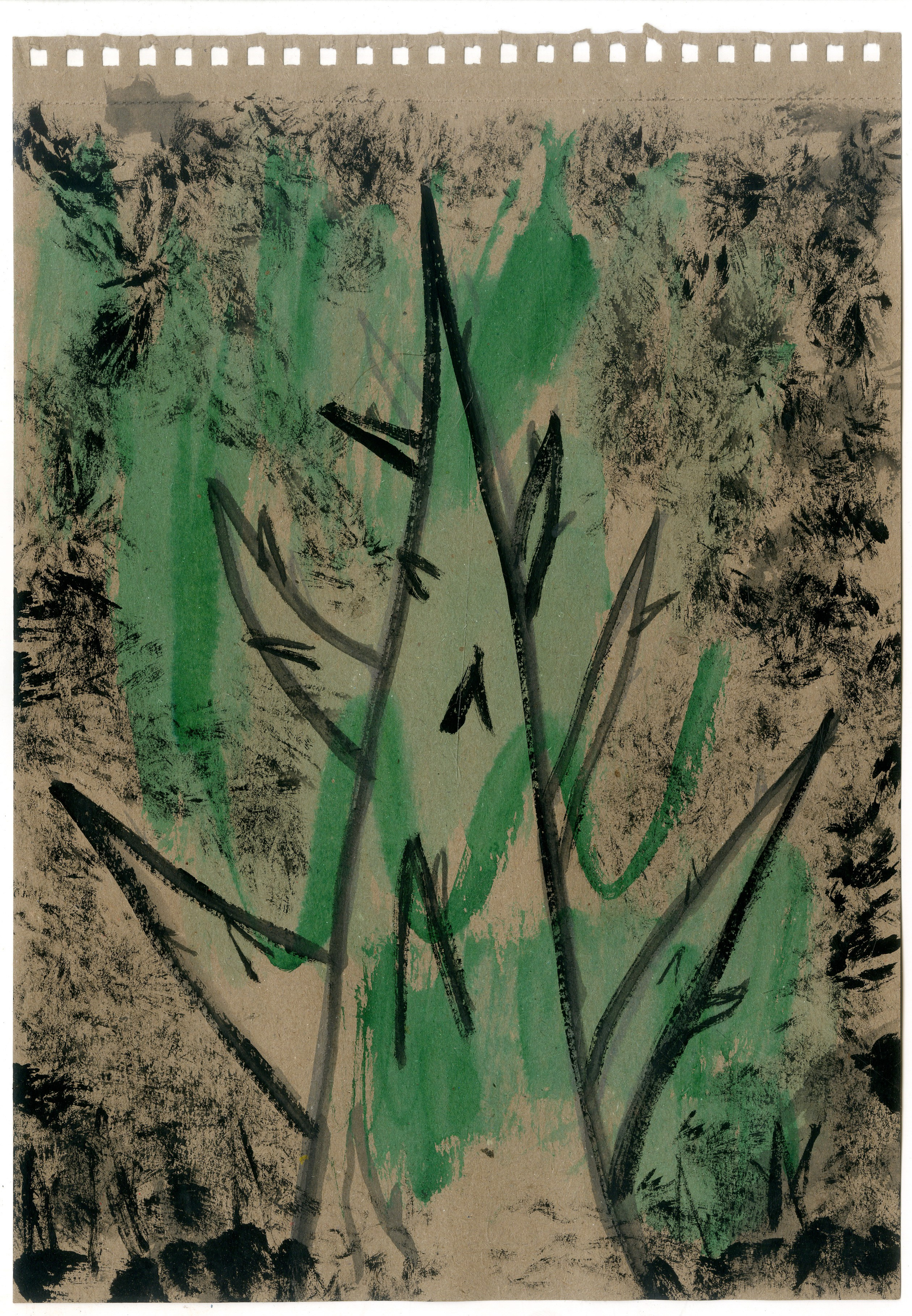 Графика. Художник. Фотограф