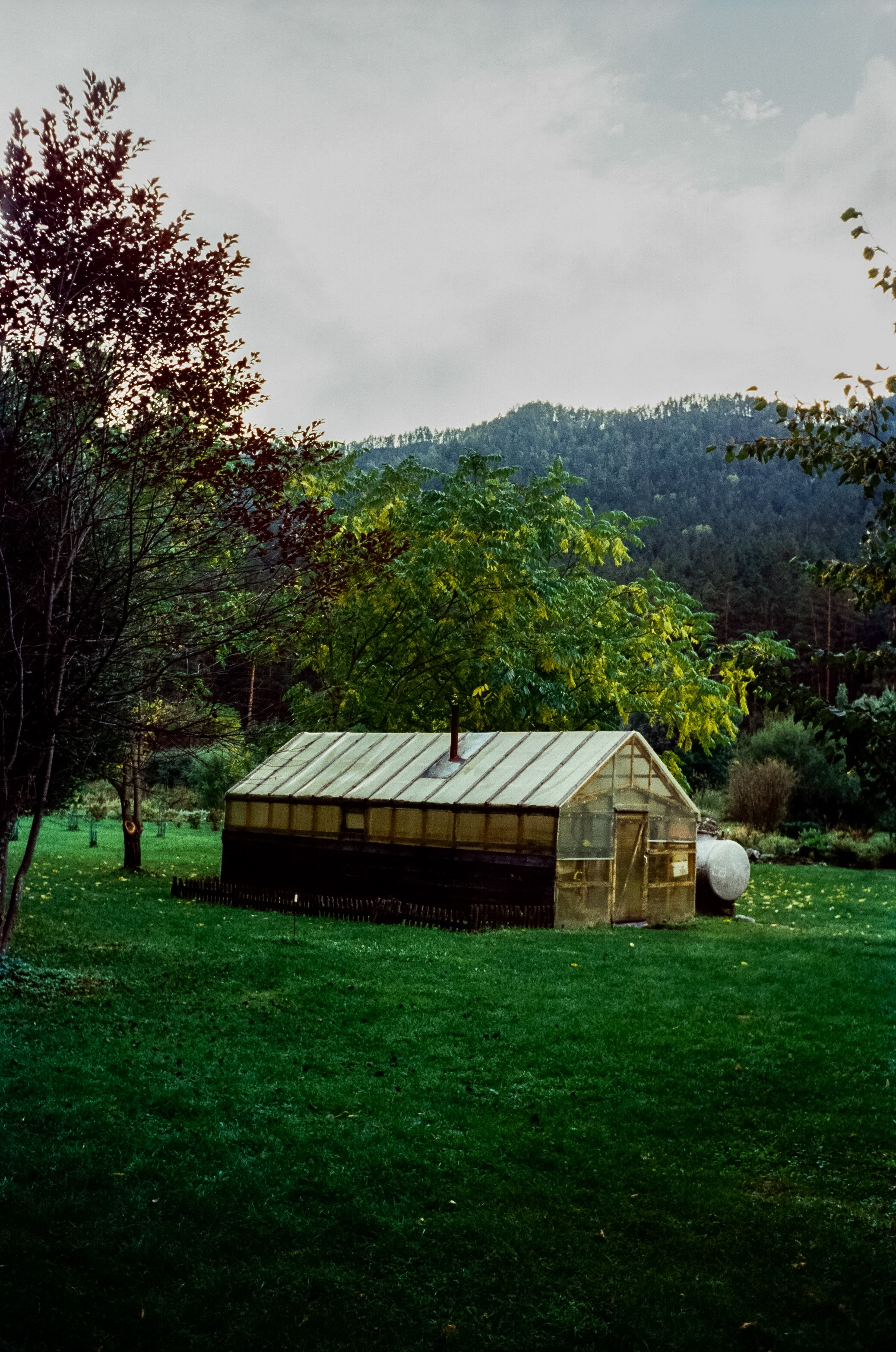 Горно-Алтайский ботанический сад / 13 сентября 2024 года / Minox 35 GT / SFL 250D