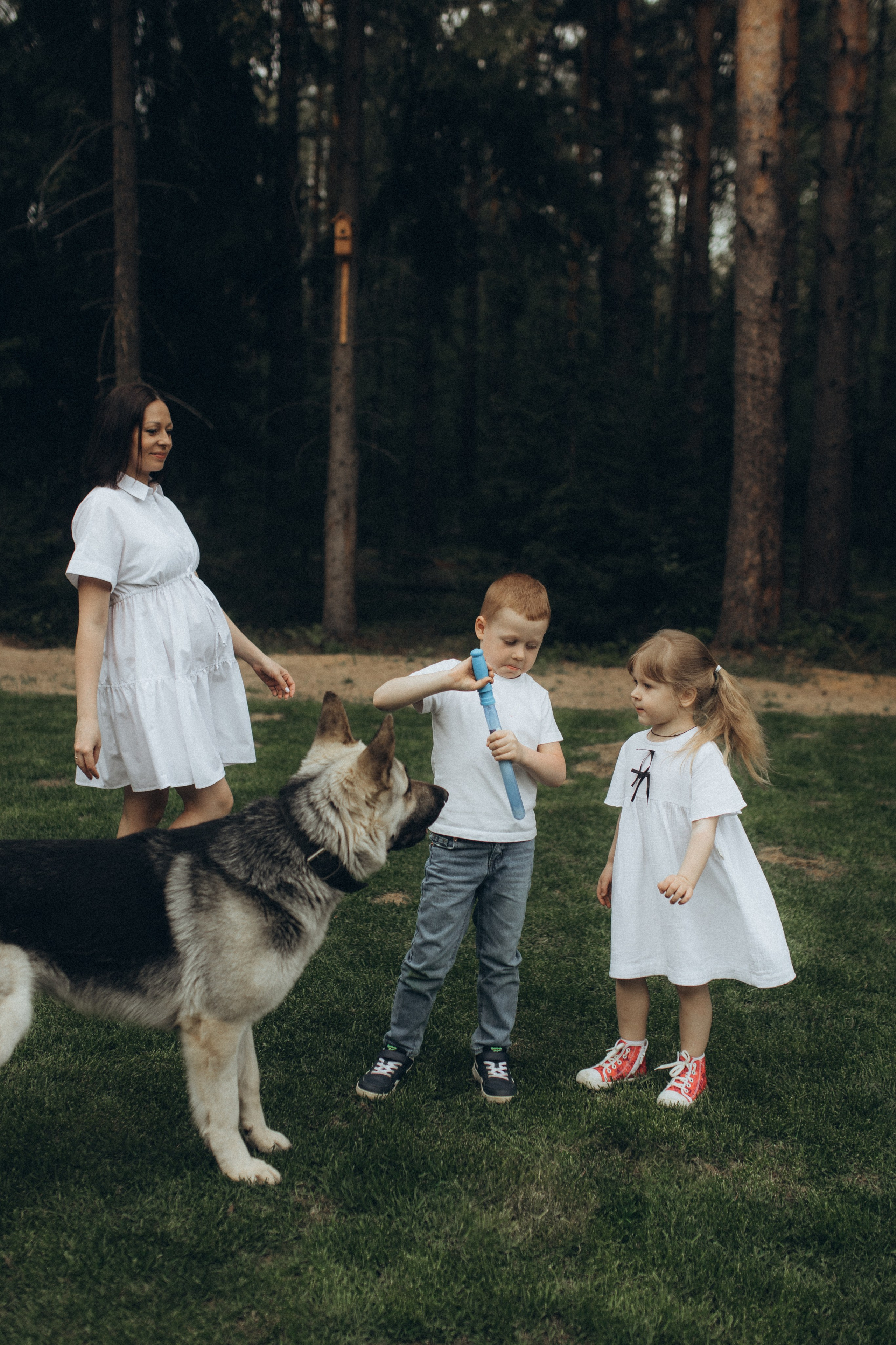 Семейная съемка. Беременность. Фотограф НОГИНСК, Москва, Анастасия Белая