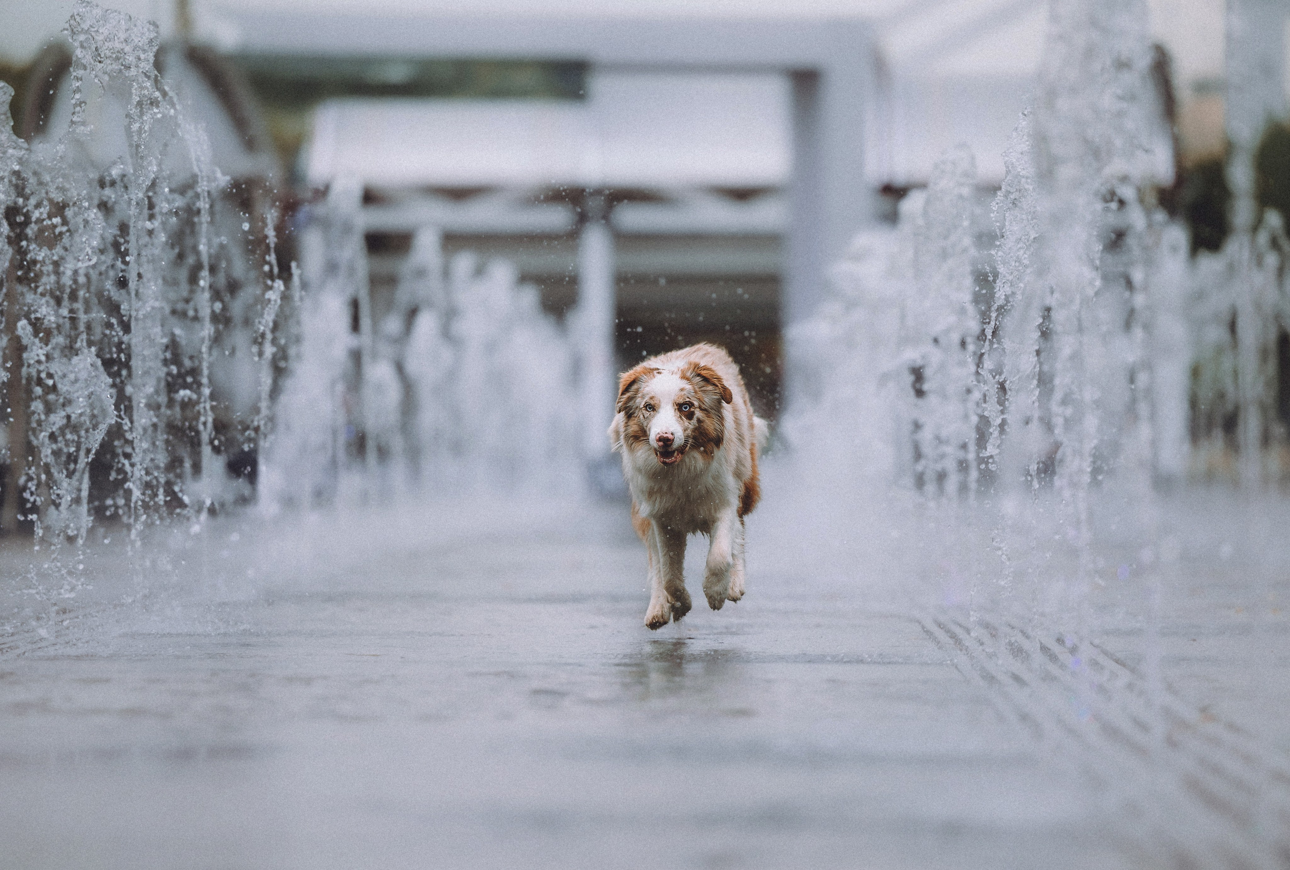 Один и его семья