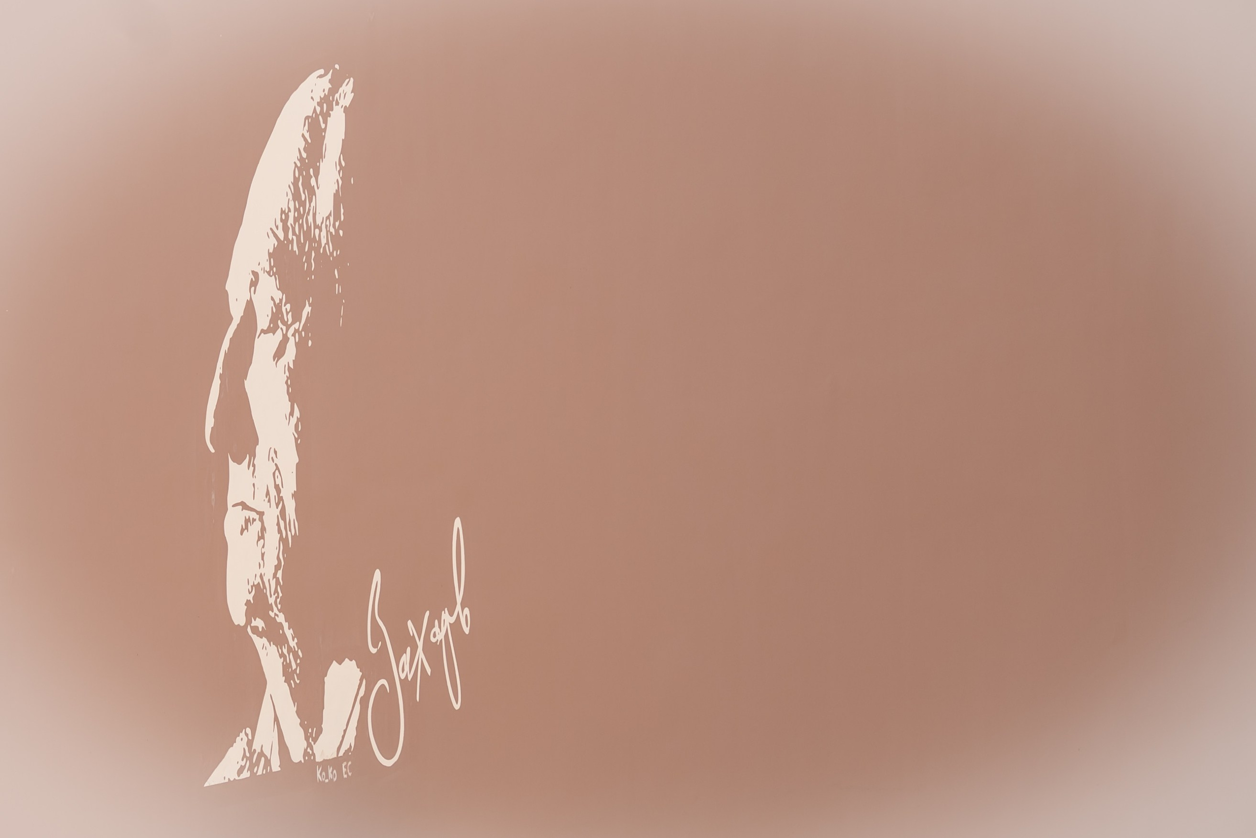 Чопопалики. Фотограф из Боровска в Калужской области