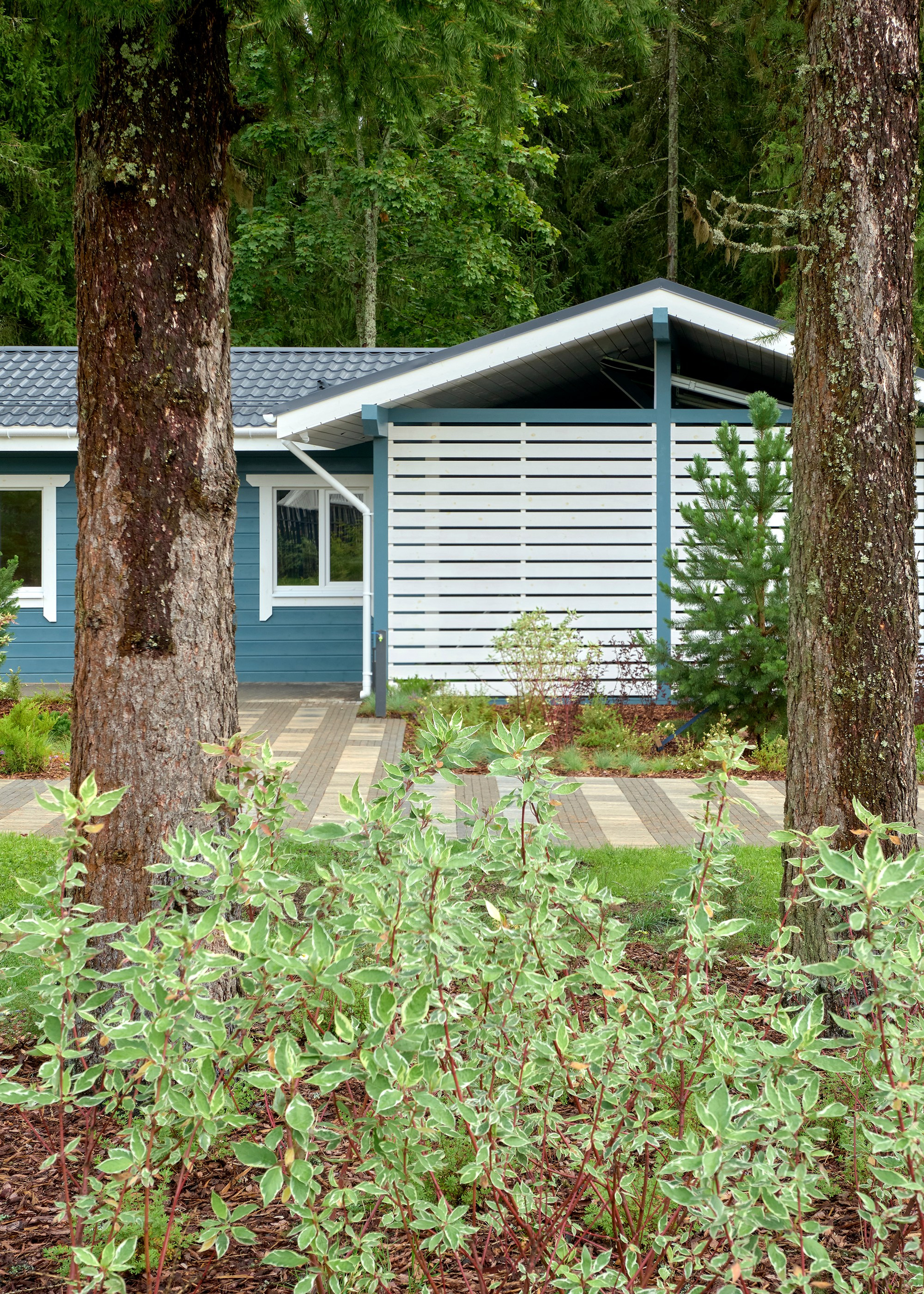 Фотосъемка реализованного проекта частного сада в Заполье для ландшафтной студии Хвоя. Фотограф Наталья Соловьева