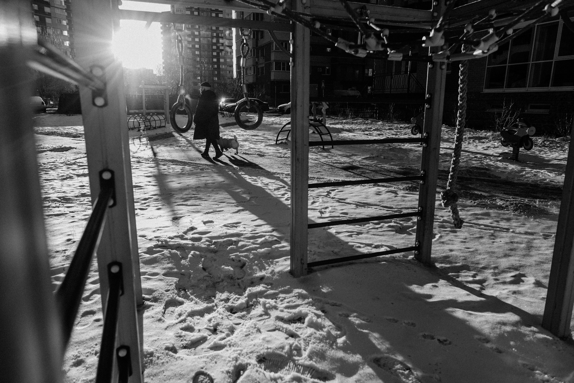 Фотосессия с собакой в Тюмени, фотограф тюмень. Фотограф Дарья Мустафина, Тюмень