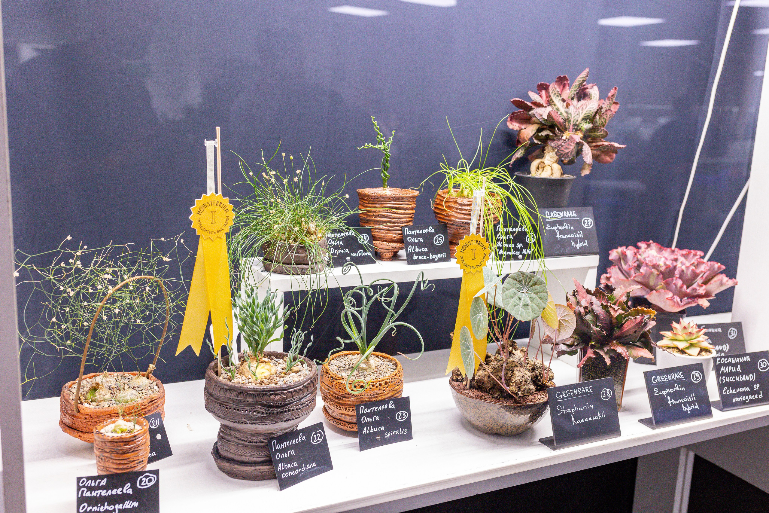 Монстериум 11–12 октября. Александра Куликова фотограф, Москва