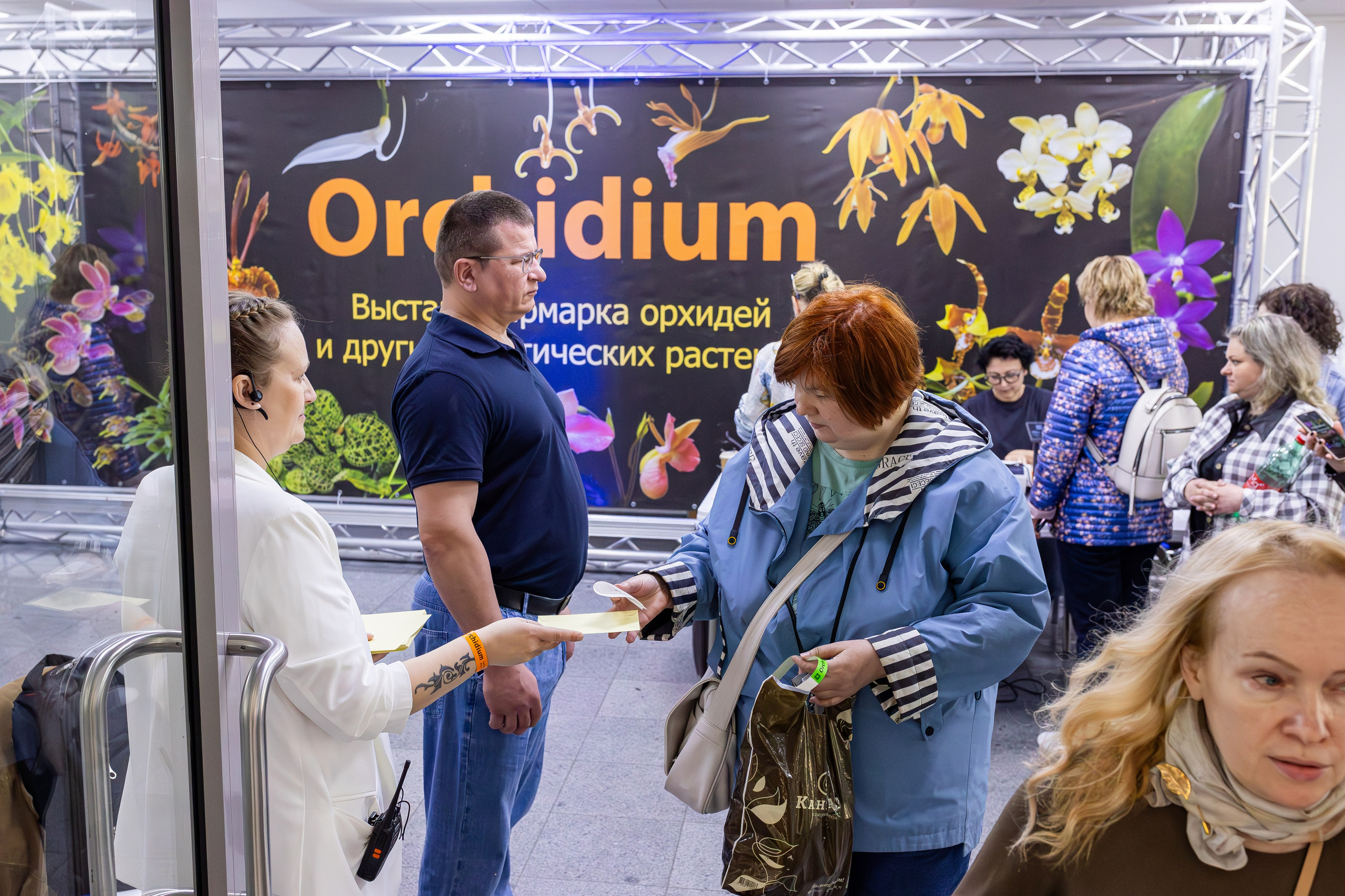 Орхидиум май 2025. Александра Куликова фотограф, Москва