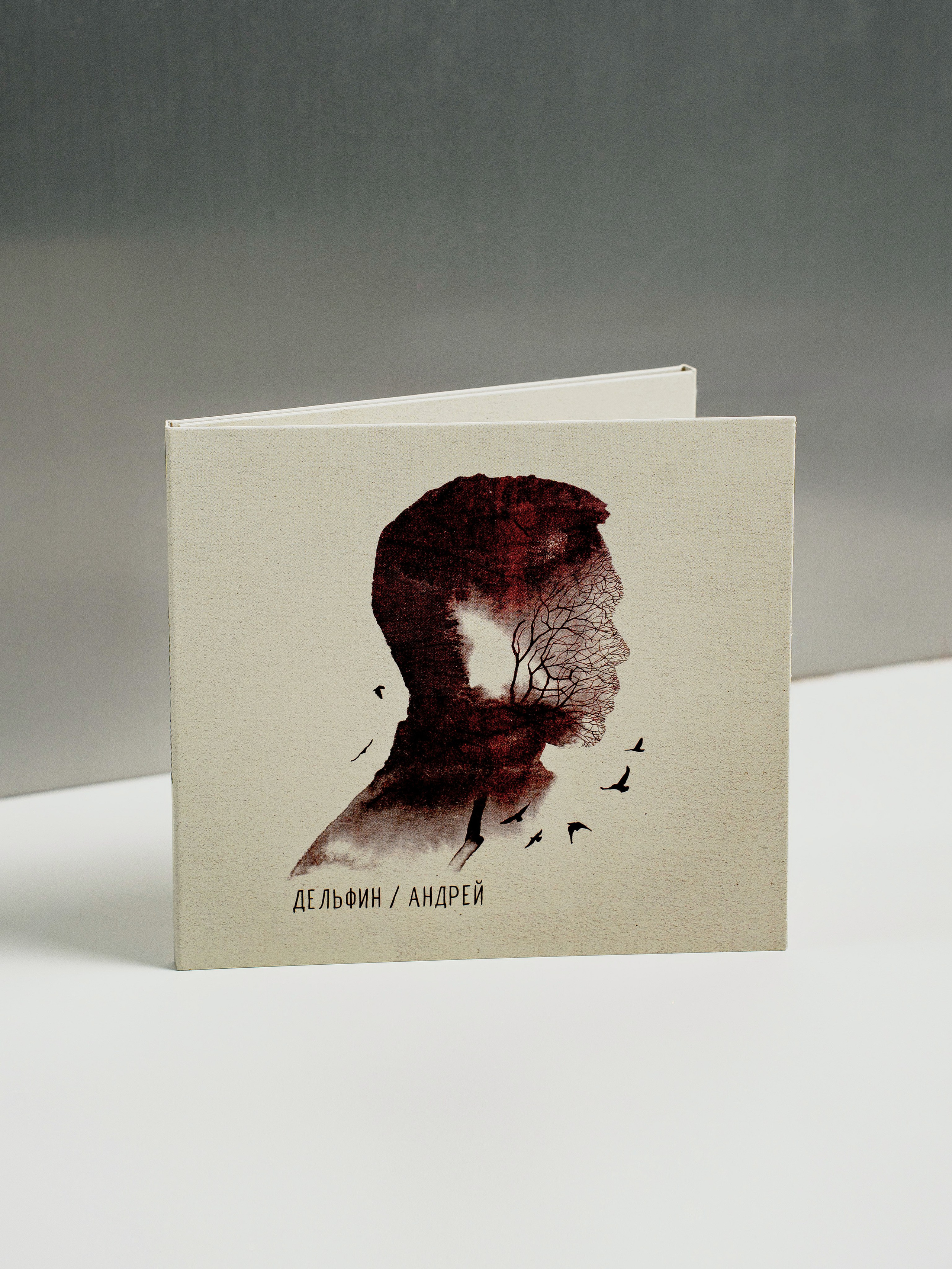 Дельфин. Портретный фотограф Москва Белогорцев Сергей