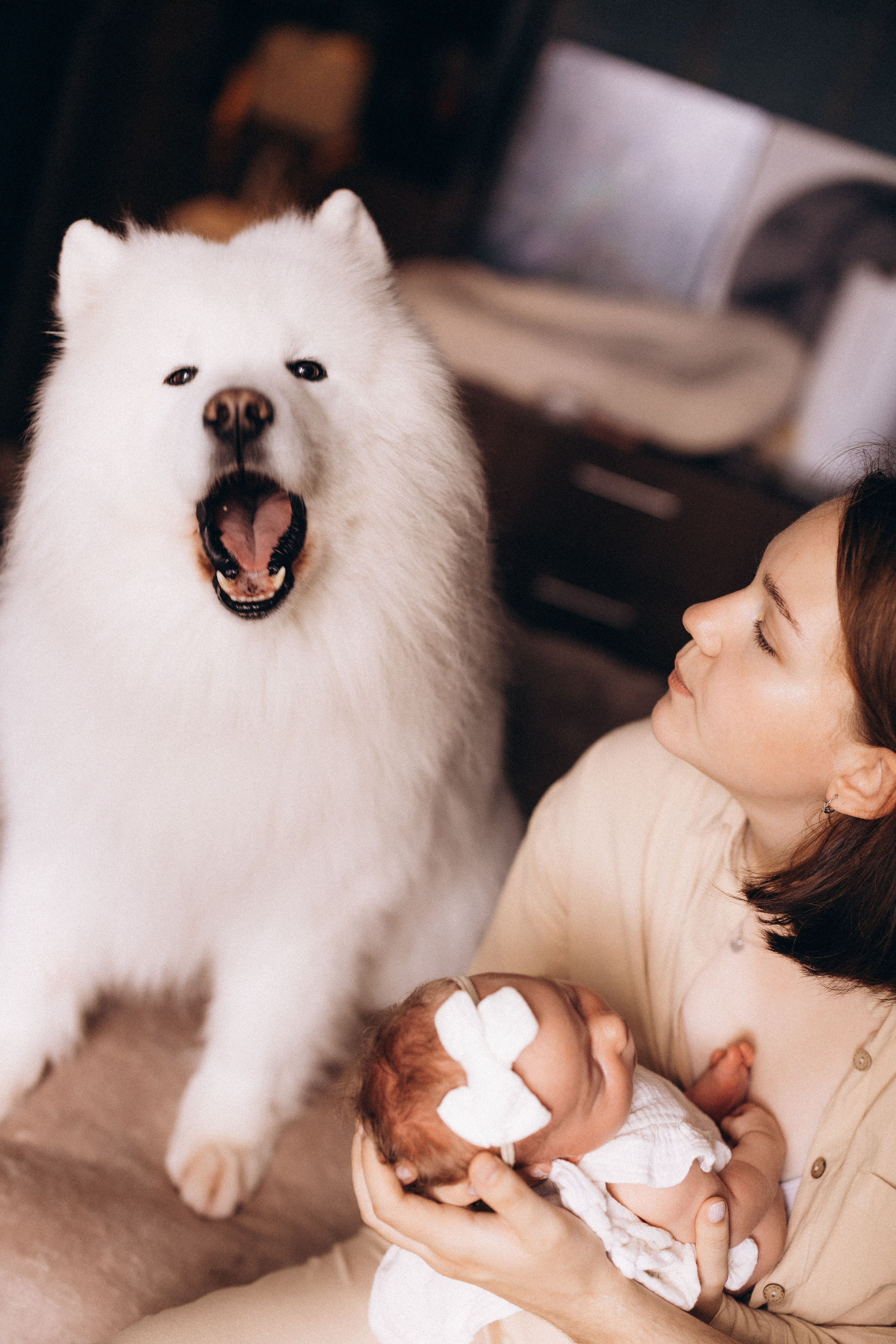 Василиса. Евгения Пелипас