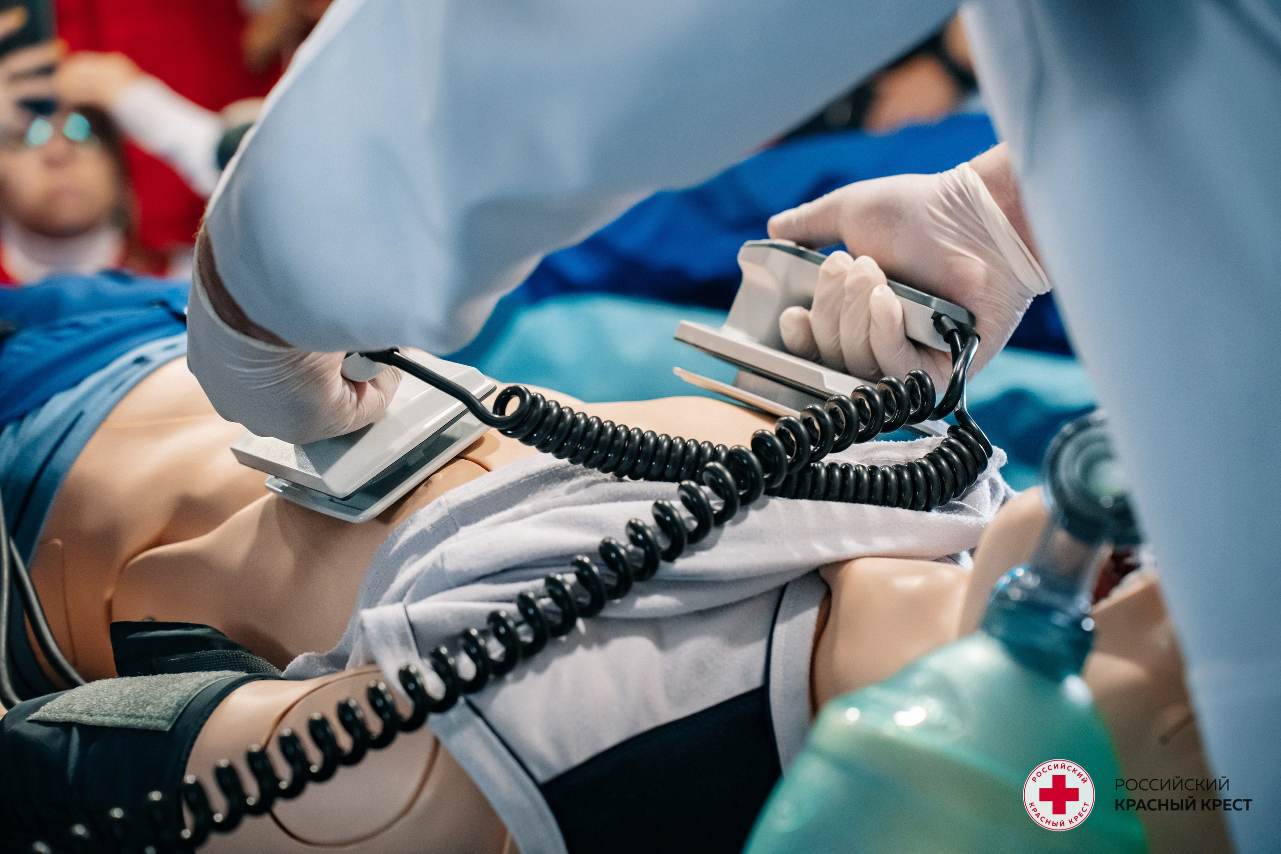 Красный крест | Дегас, медвежья берлога. Фотограф в Воронеже Ольга Космодемьянская