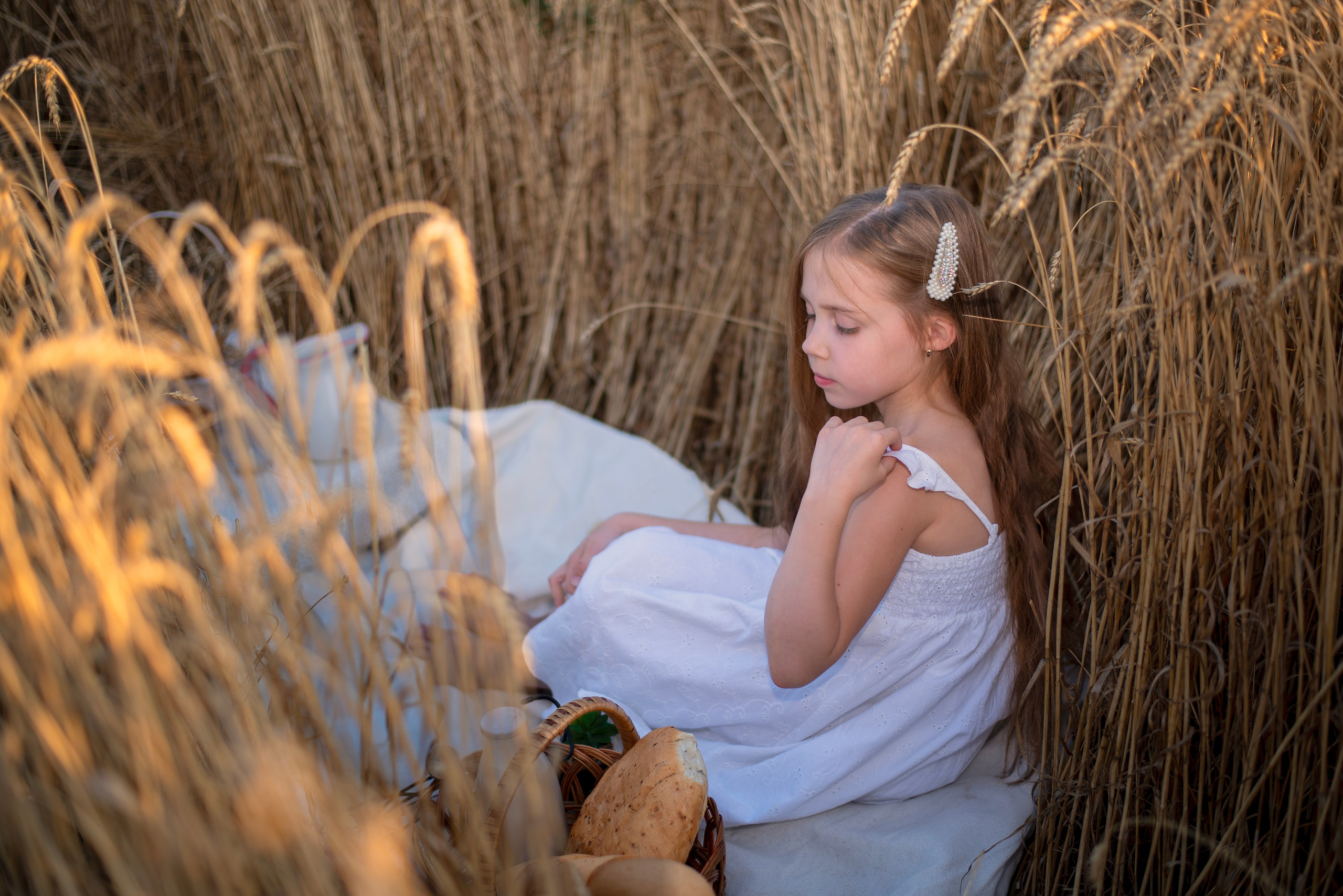 Пшеница. Главная