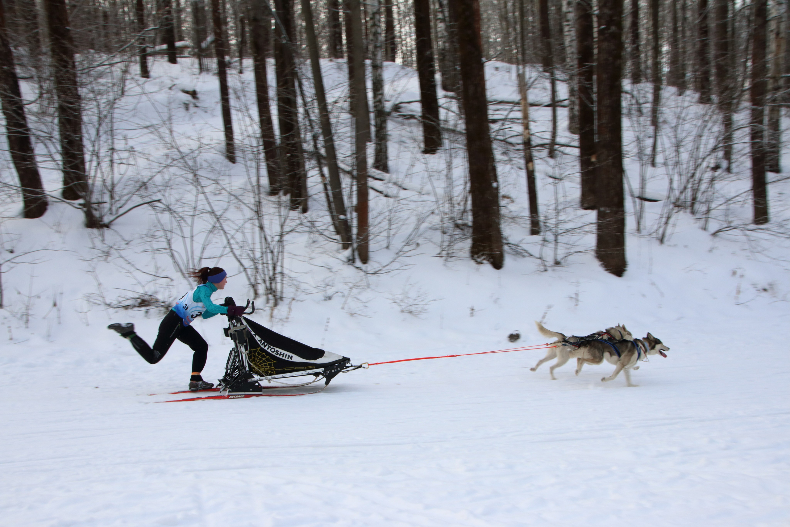 06.01.2020 Рождественские гонки на собаках. Фотообъединение Самарского областного отделения Союза журналистов России