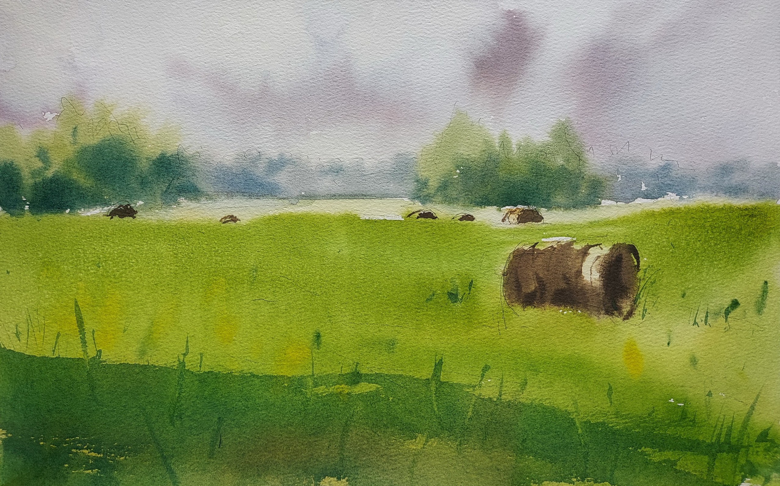 Tomsk Suburbs | Aug 2024 | A3