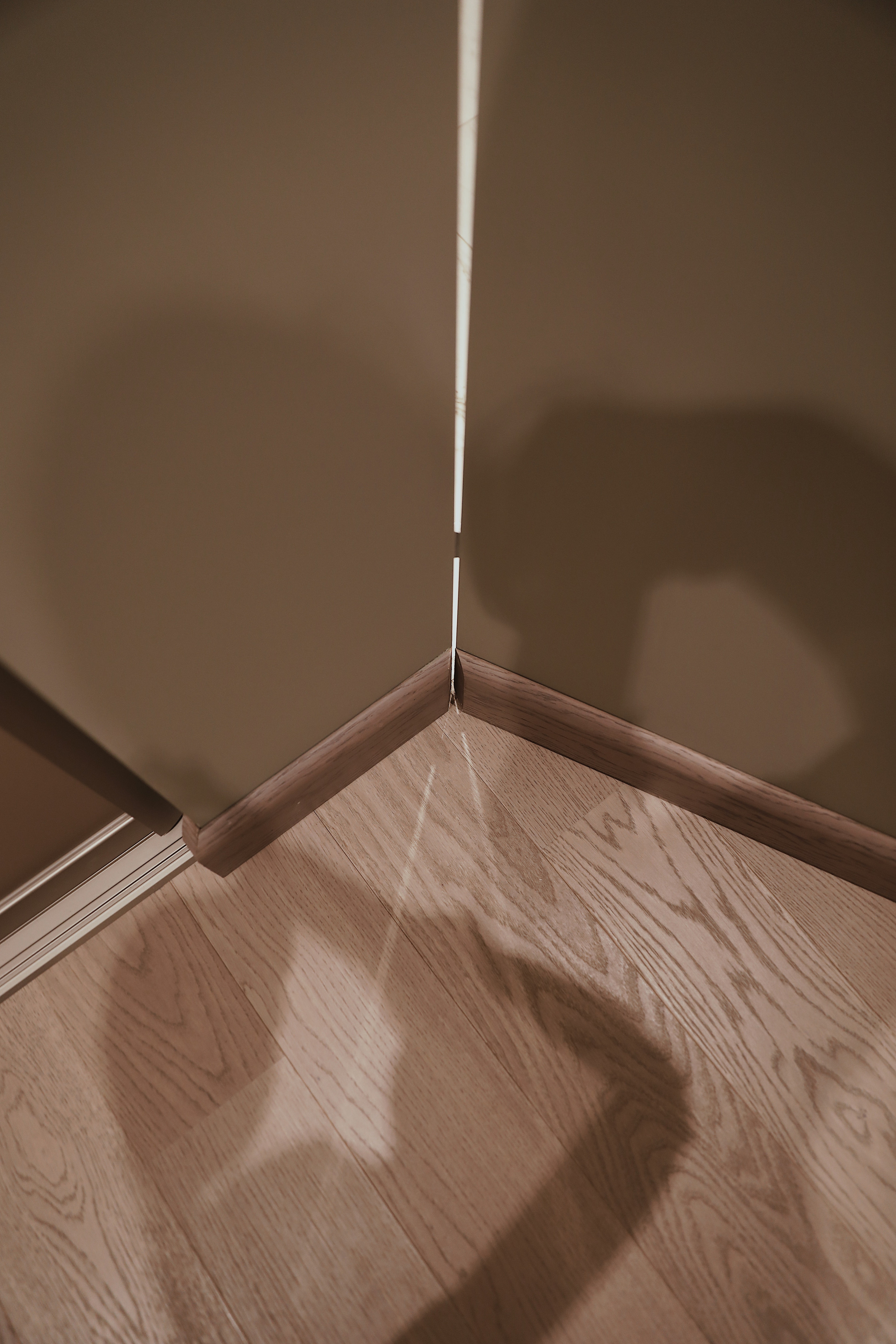 Антология уюта. FMDAgroup. Создаем пространство для жизни