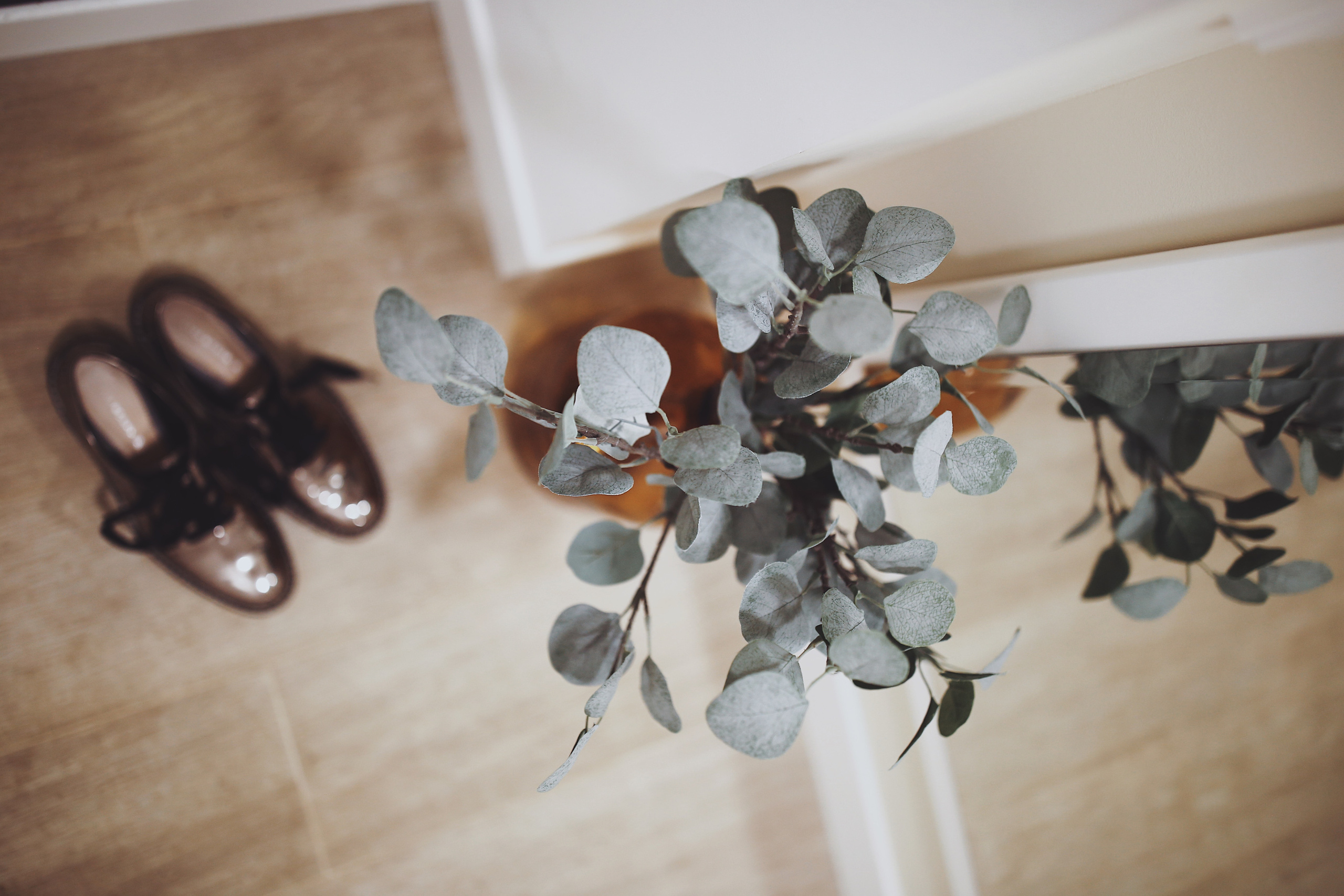 Подарок для родителей. FMDAgroup. Создаем пространство для жизни