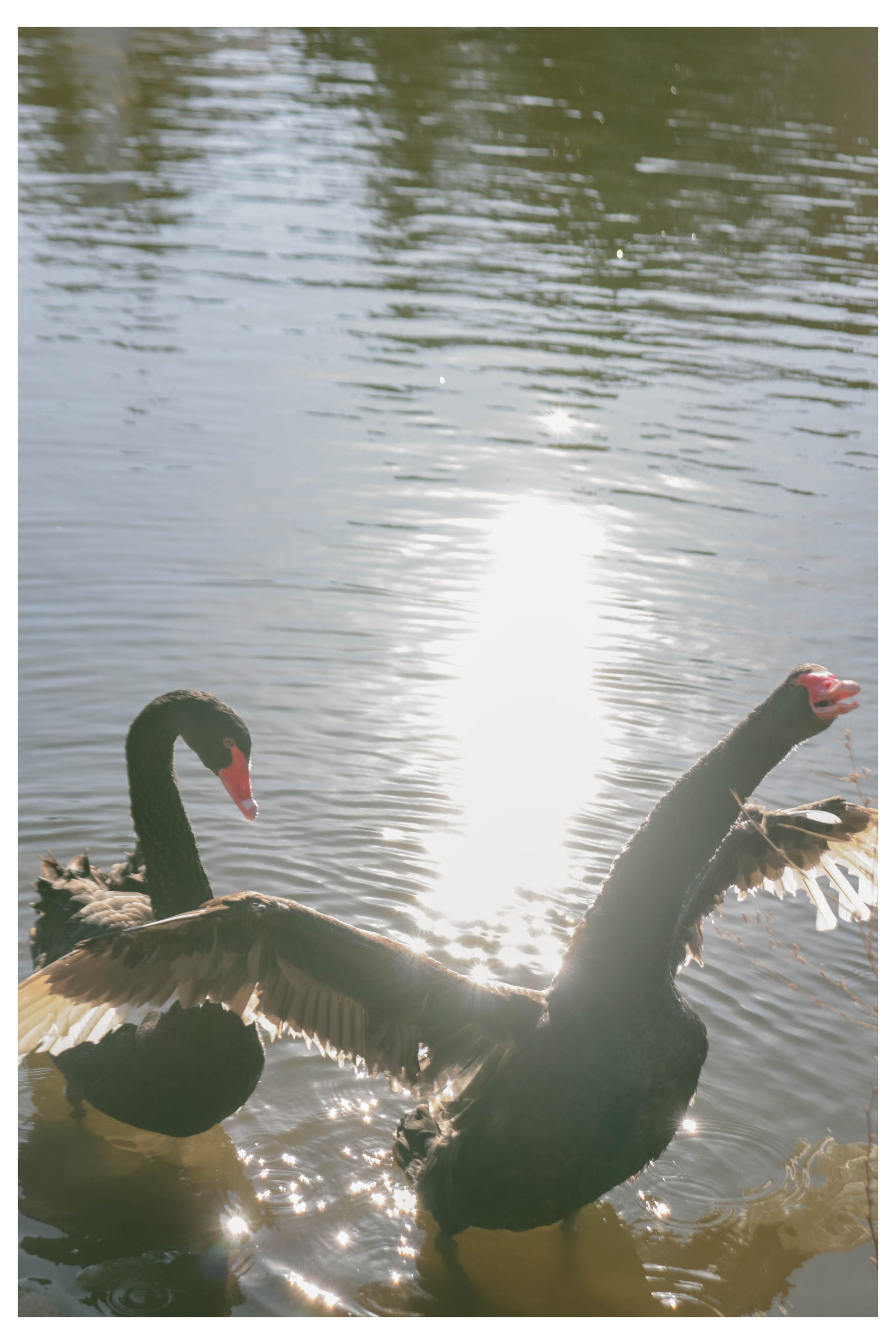 Альметьевск. Фотограф и видеограф в Бугульме Аня Трутнева
