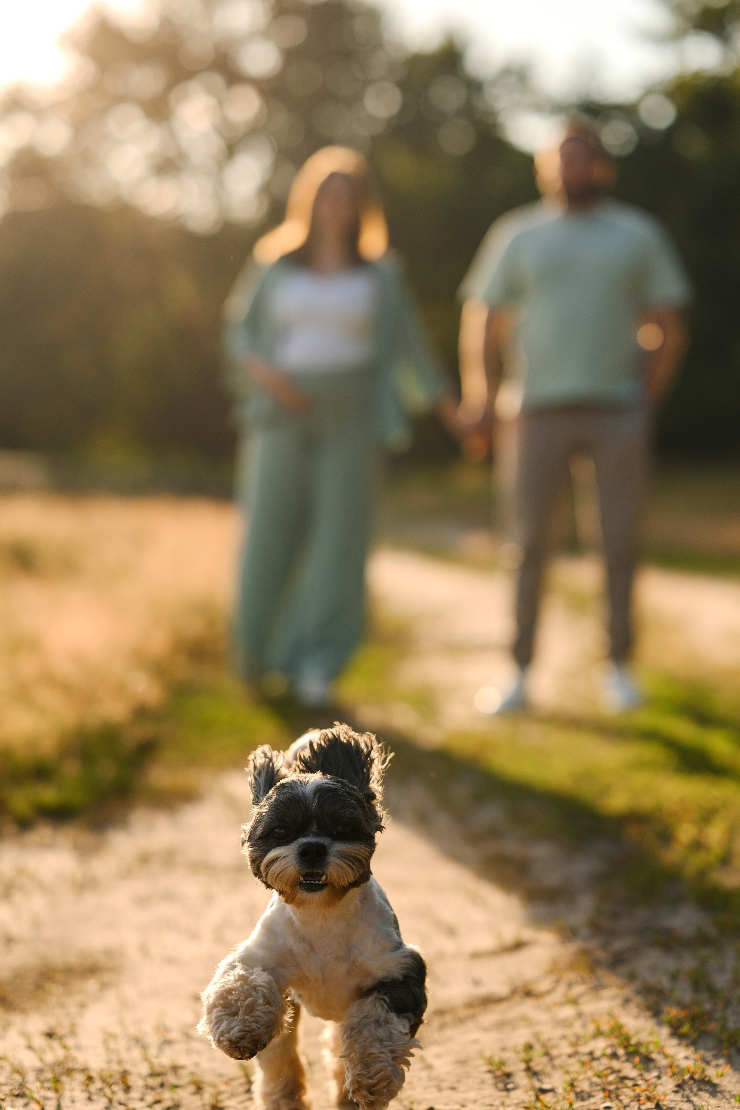 Артем, Юля и Чип ;). Свадебный и семейный Фотограф в Пензе Татьяна Лапоногова