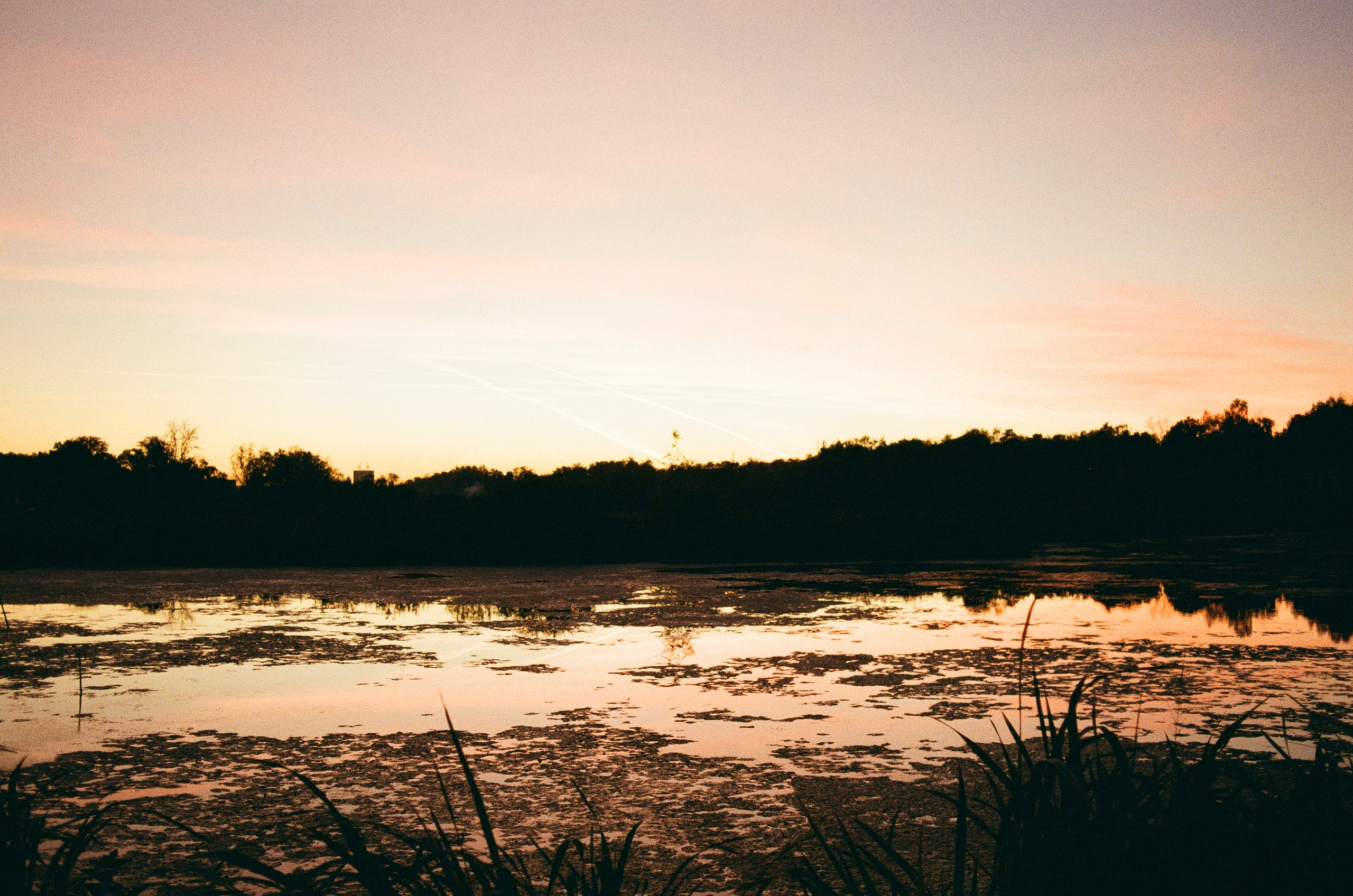 Автор: Георгий Догузов